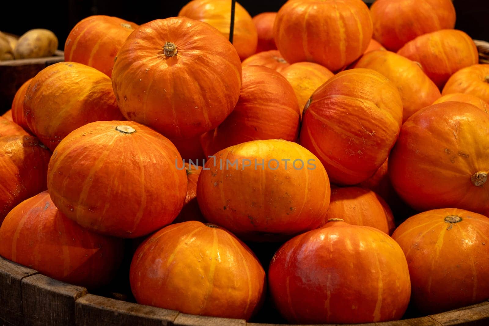 A pile of orange pumpkins in a wooden crate. The pumpkins are all different sizes and shapes, but they all have a similar color and texture. The crate is rustic