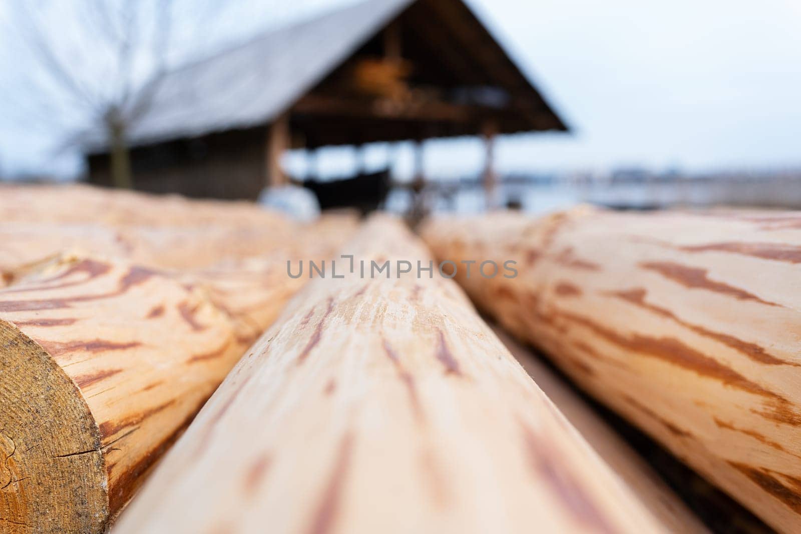 Close-up view of wooden logs with a workshop in the background, highlighting the textures and natural patterns of the wood.