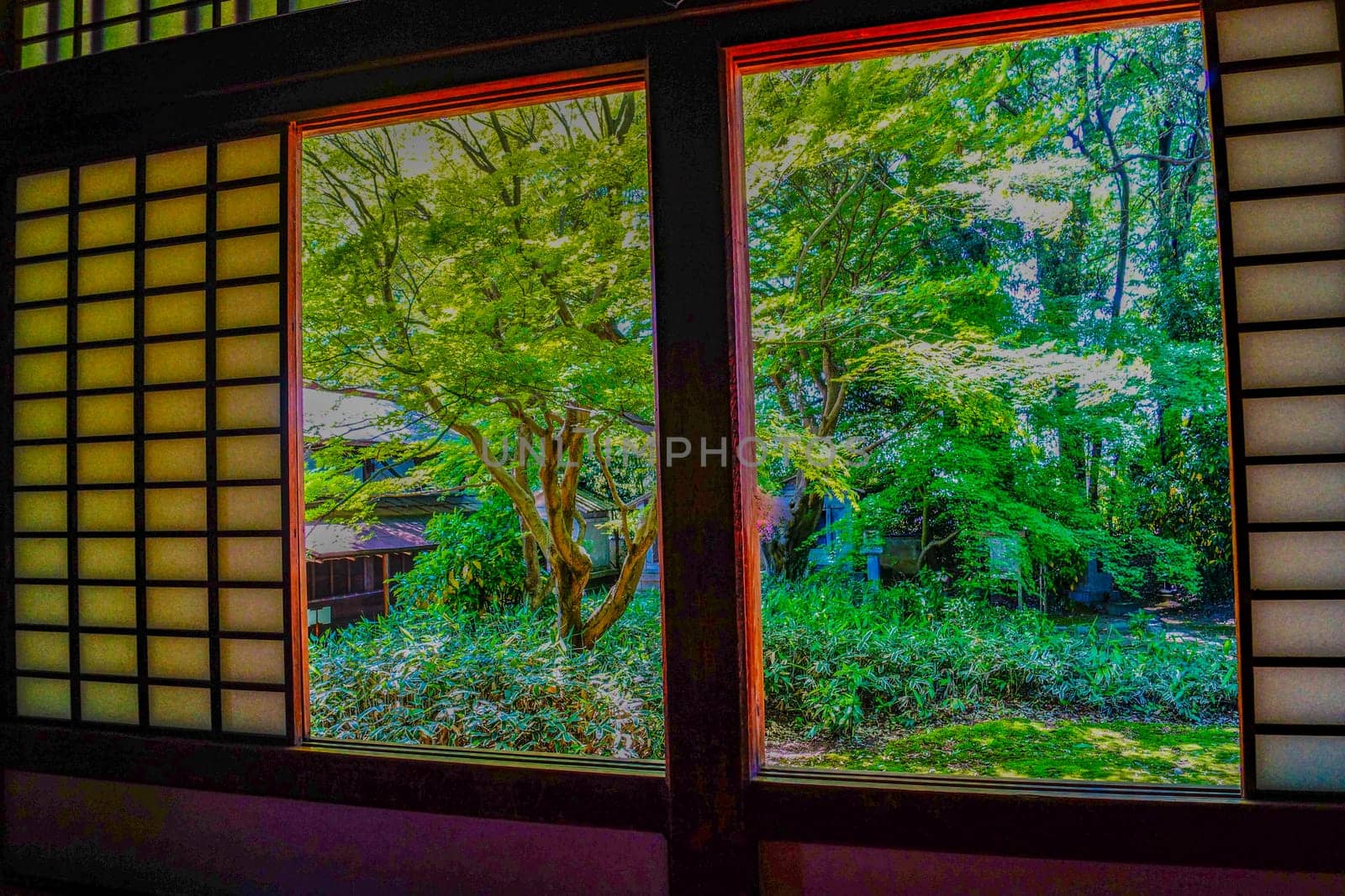 View from the window with a view of greenery. Shooting Location: Niigata Prefecture