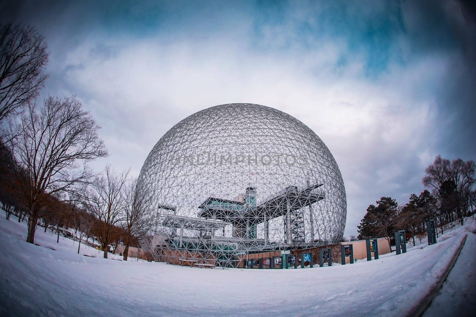Beautiful curves of the biosphere. Shooting Location: montreal, canada