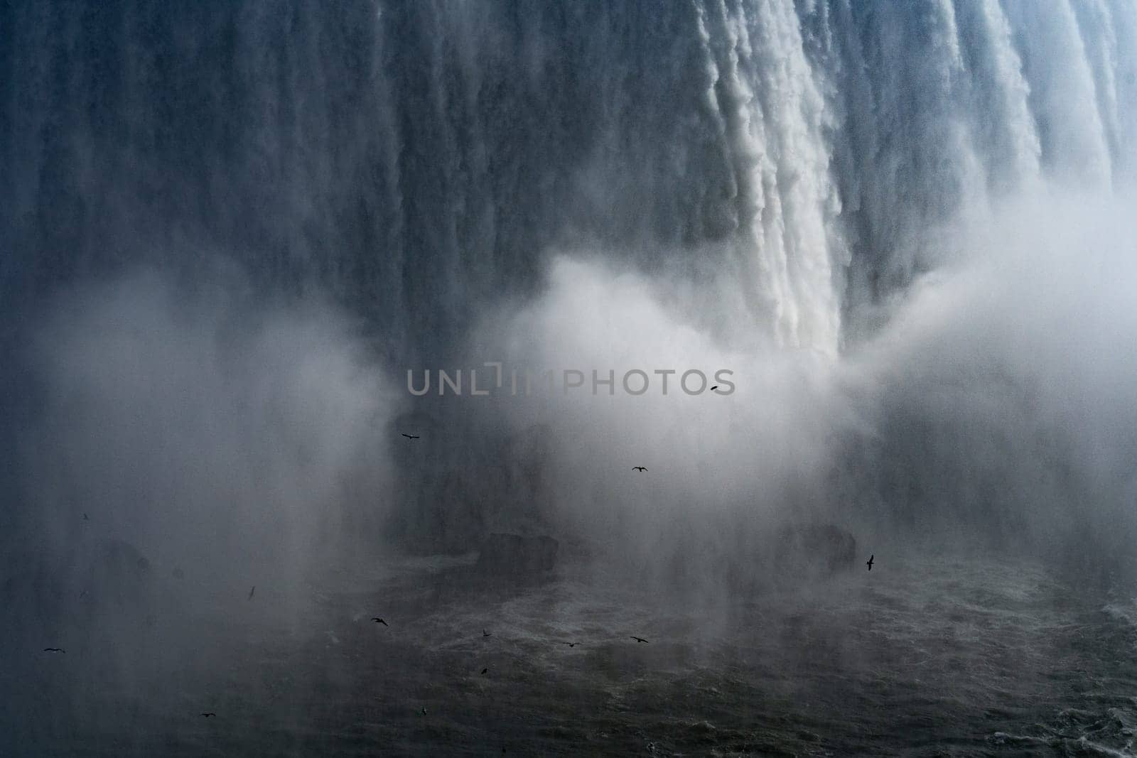 birds dancing under the waterfall. Shooting Location: Toronto