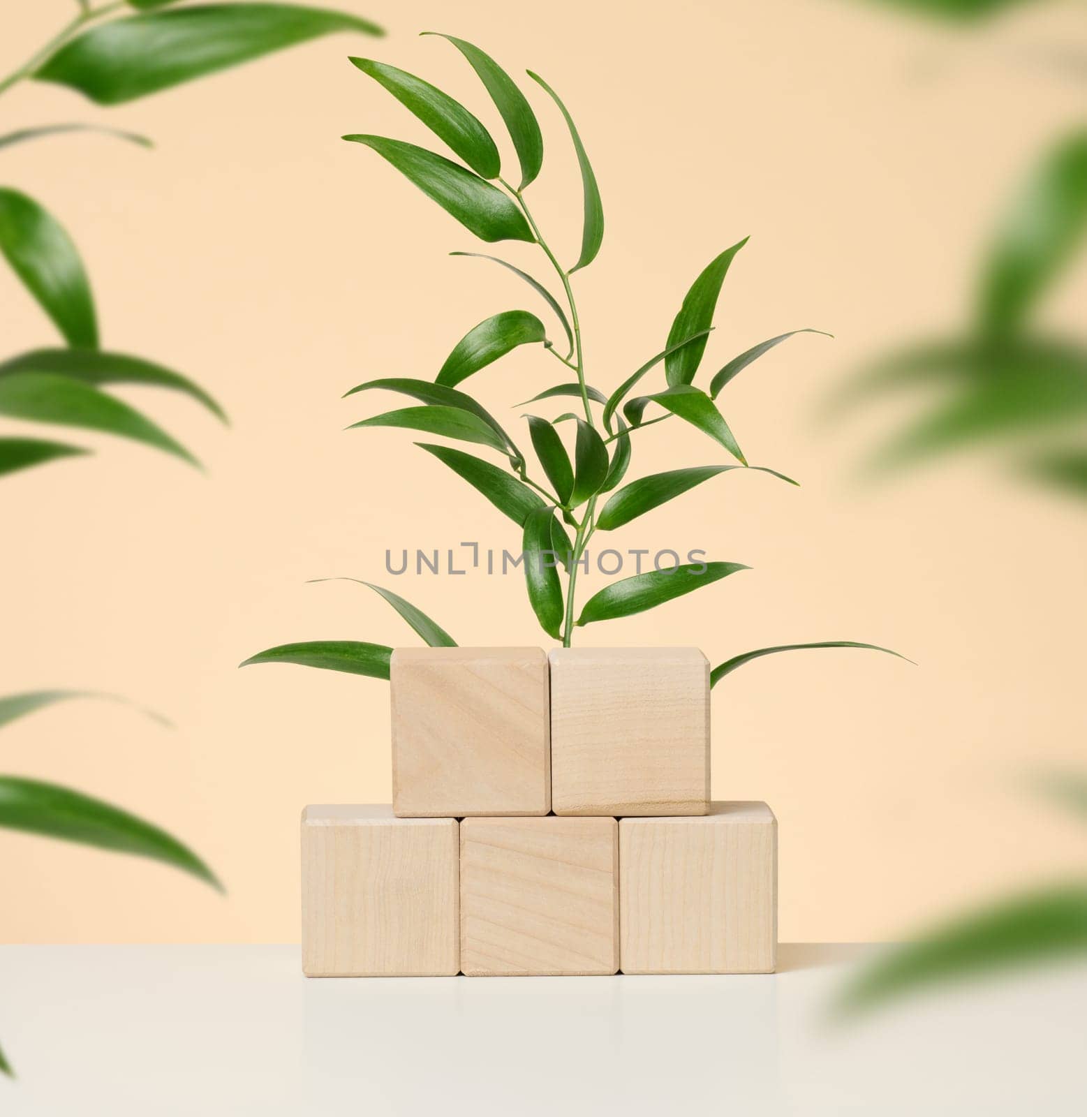 Wooden platform with green leaves on beige background, stage for advertising and product display