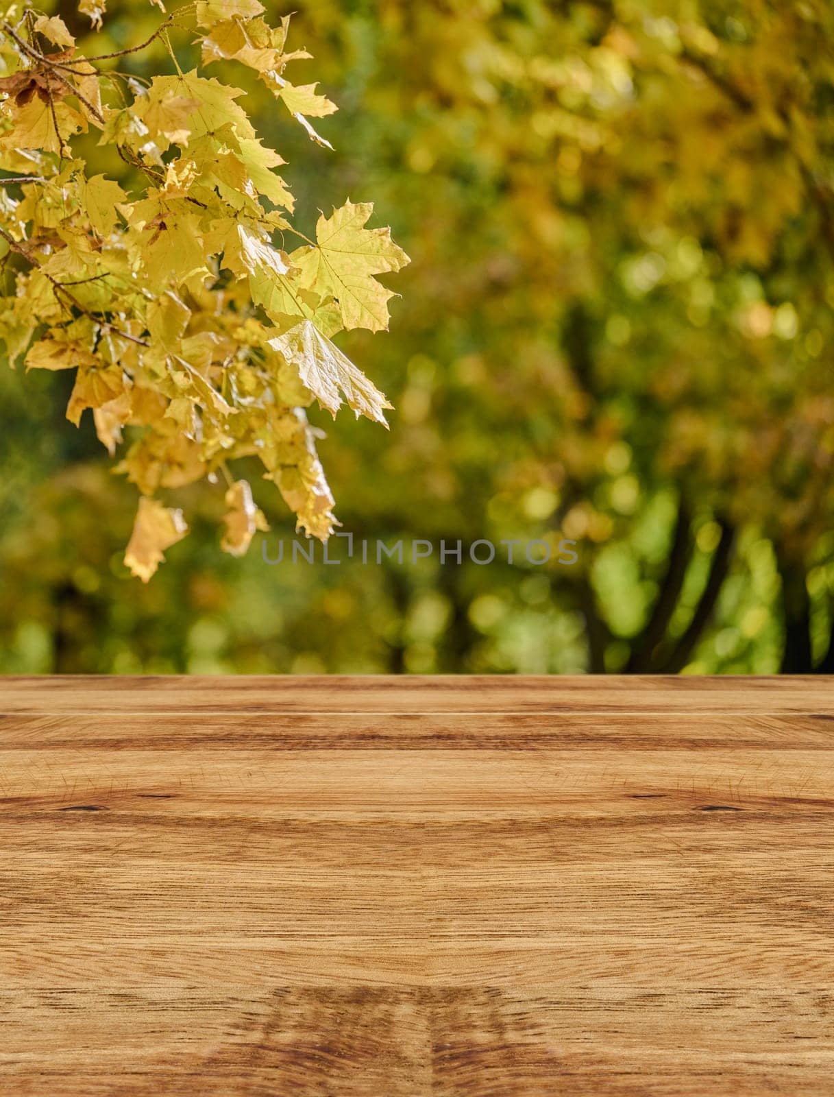 Wooden brown table against autumn park background with yellow maple leaves, product display stage. Copy space