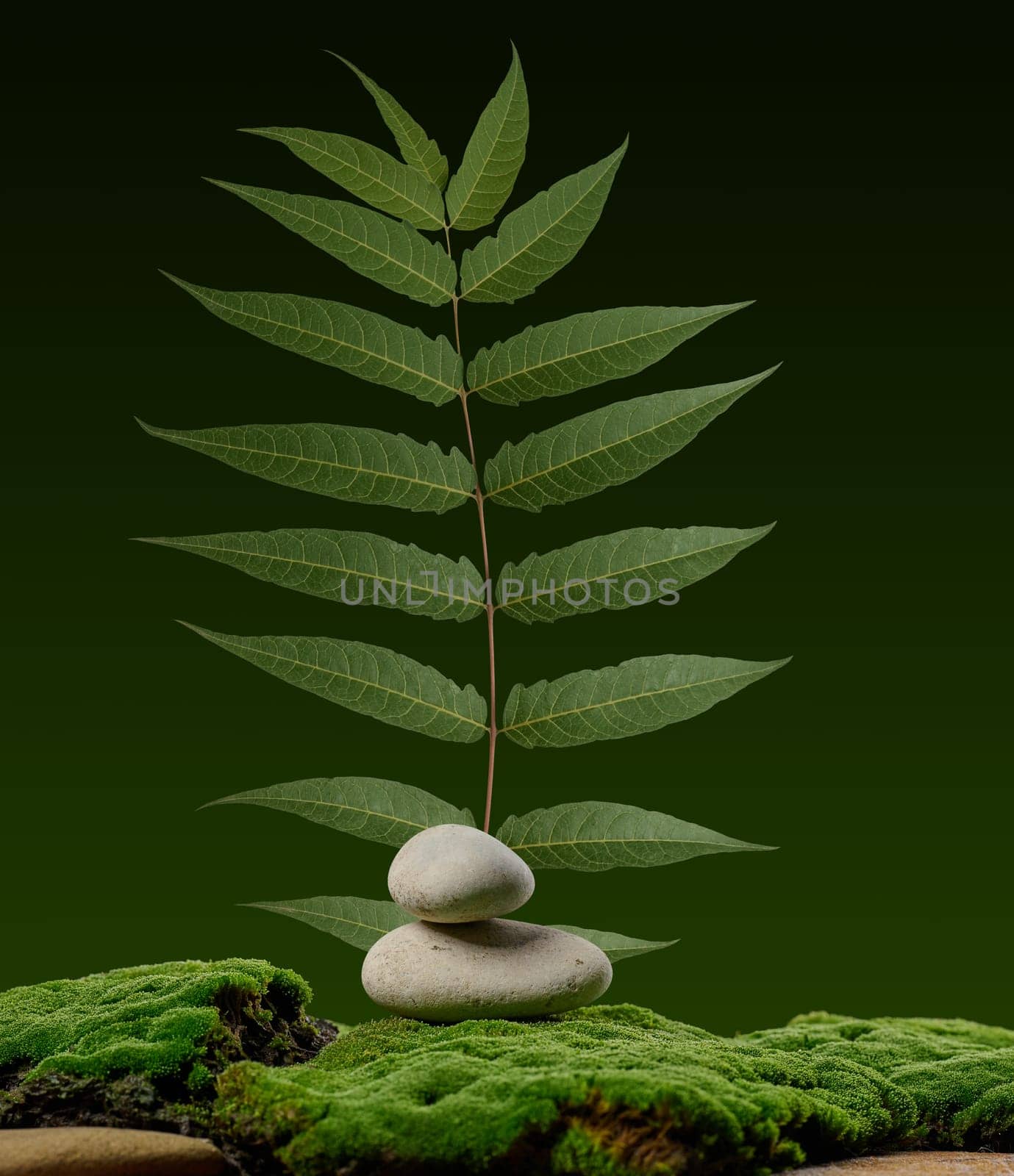 Balancing stones on a background of soft green moss and green leaf, background for cosmetics, wellness brands or natural products, emphasizing eco-friendliness and premium style