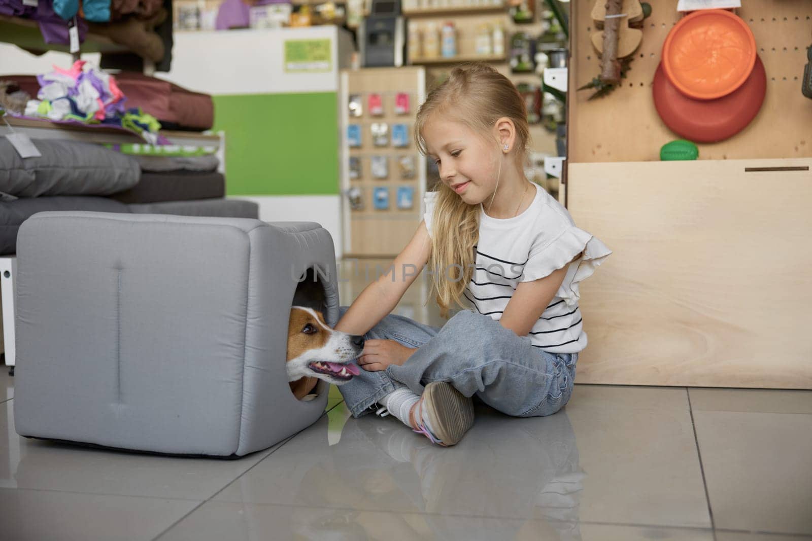Portrait of cute little girl sitting on floor and dog hiding in new soft comfort house at pet shop. Retail shopping for domestic animal