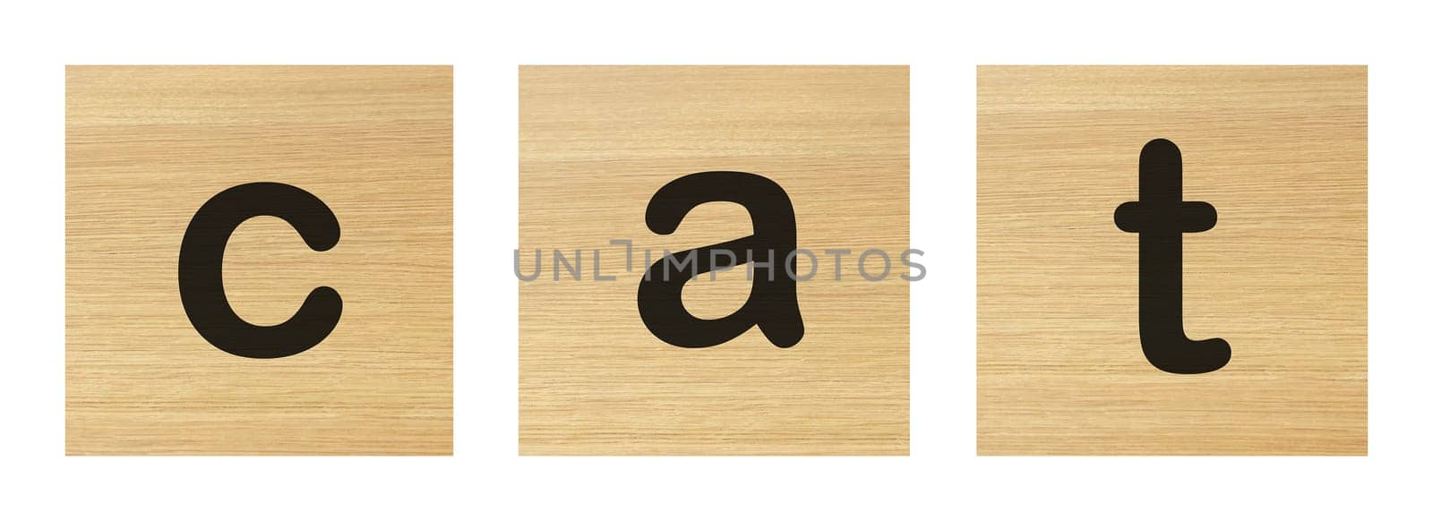 A cat word with wood blocks on white