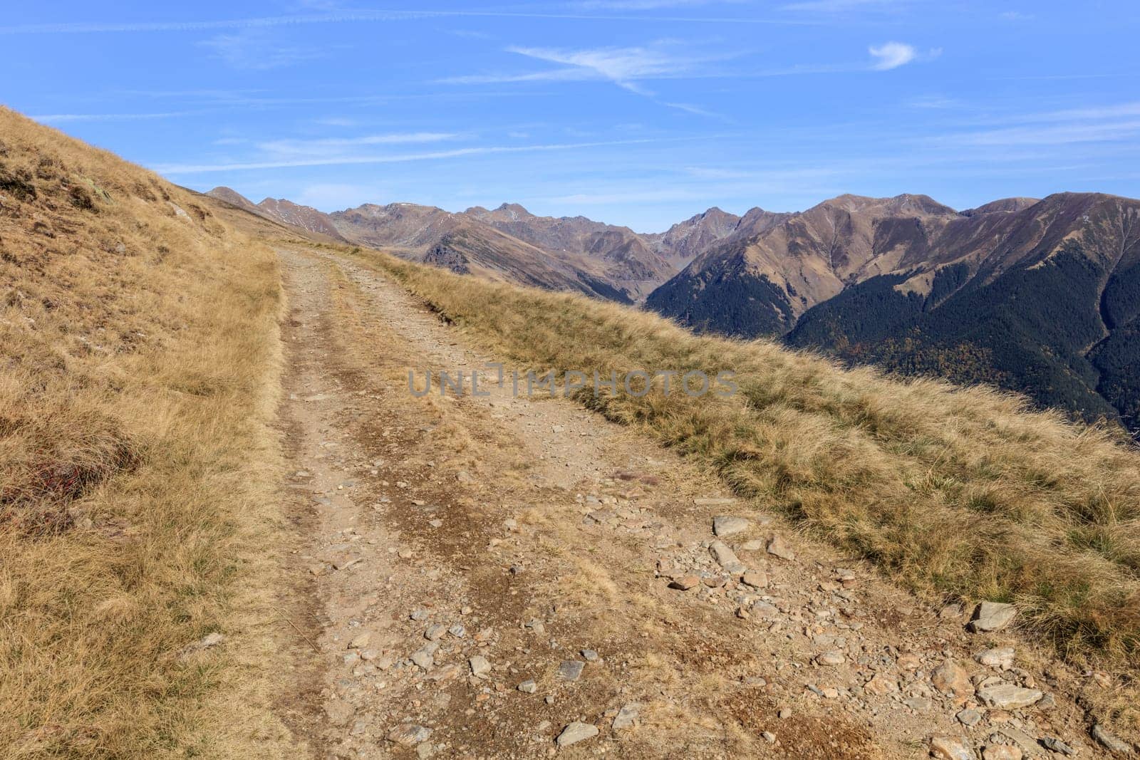 forest road in the Fagaras Mountains, Romania