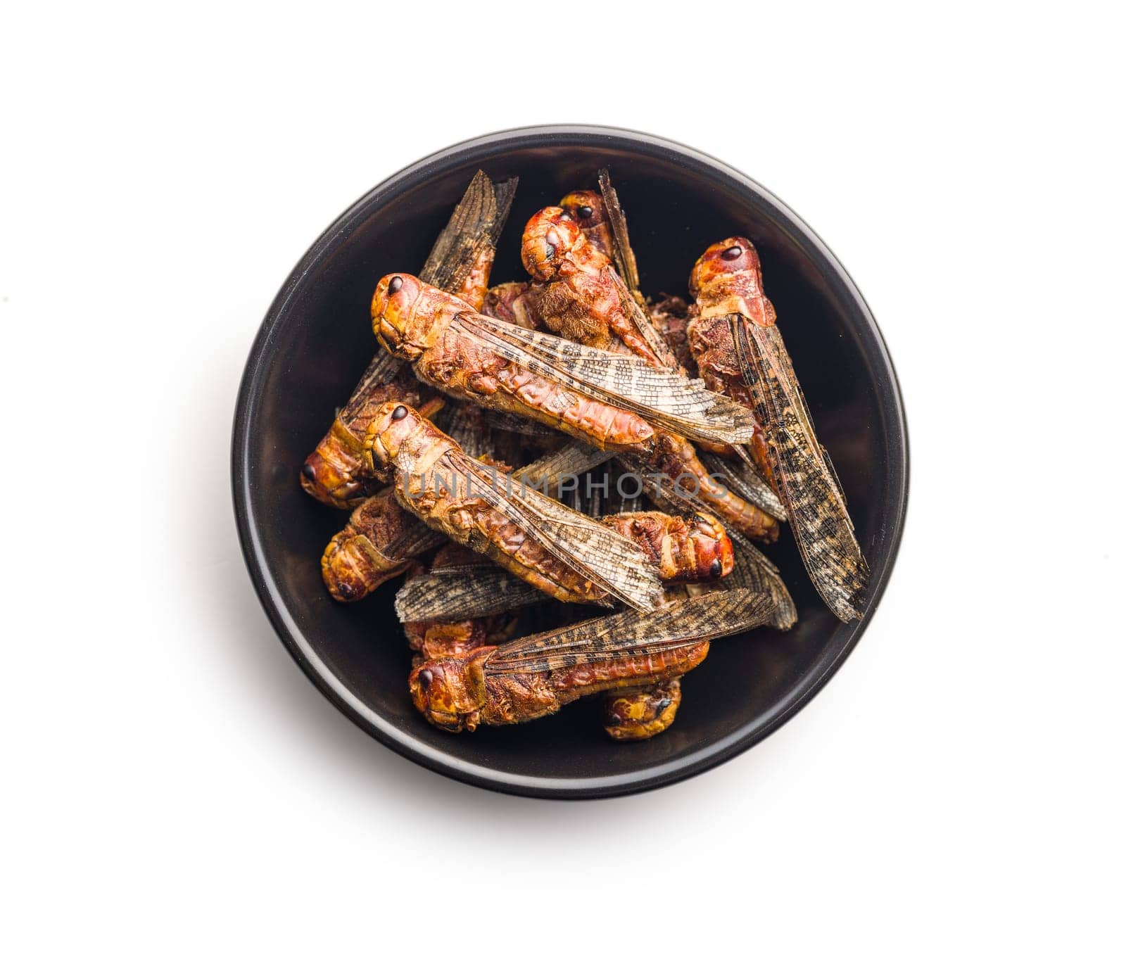 Crispy fried grasshoppers in bowl isolated on a white background. Insect protein.