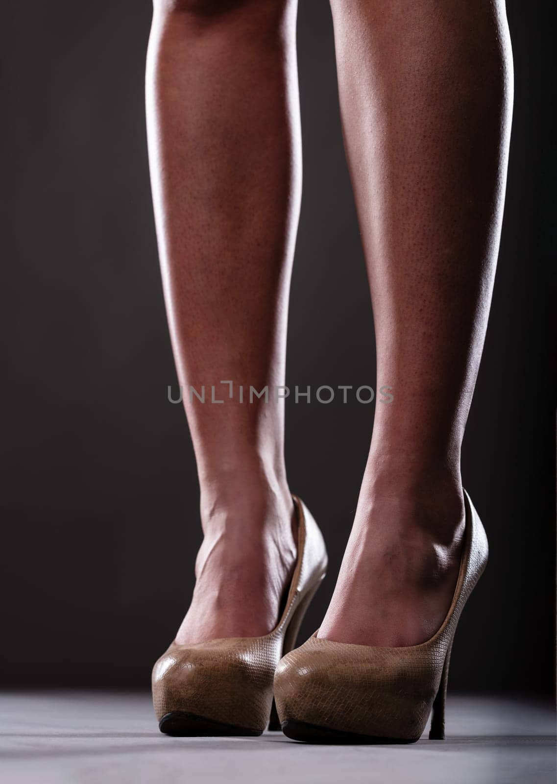 Legs in mid-high heels, closely shot, exuding sexiness and order. Lower legs of a fit woman, shaved and ending in mid-high animal print heels. Elegant dark background
