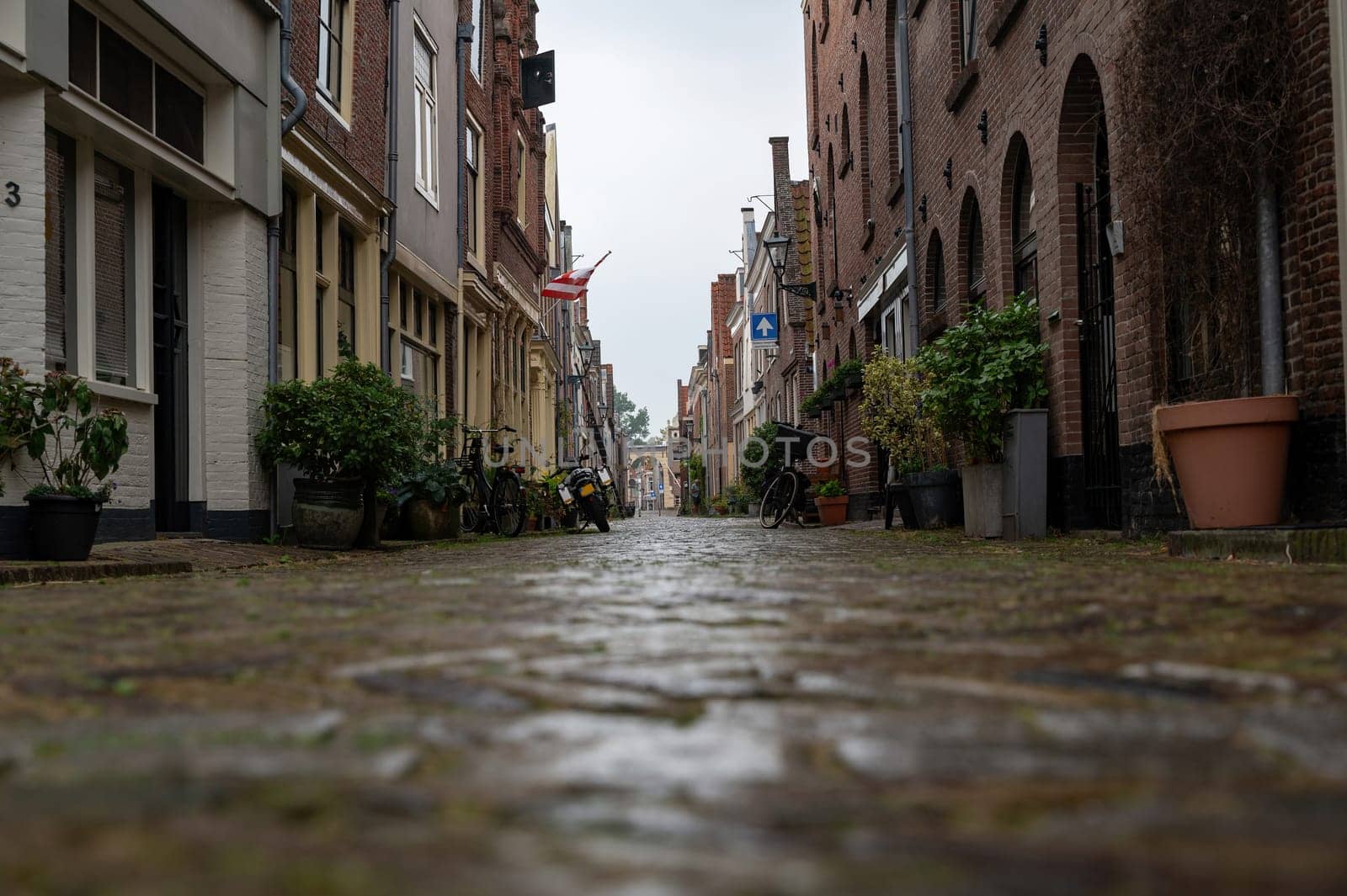 Small cozy alley with green plants on the houses in the old town of Alkmaar in the Netherlands