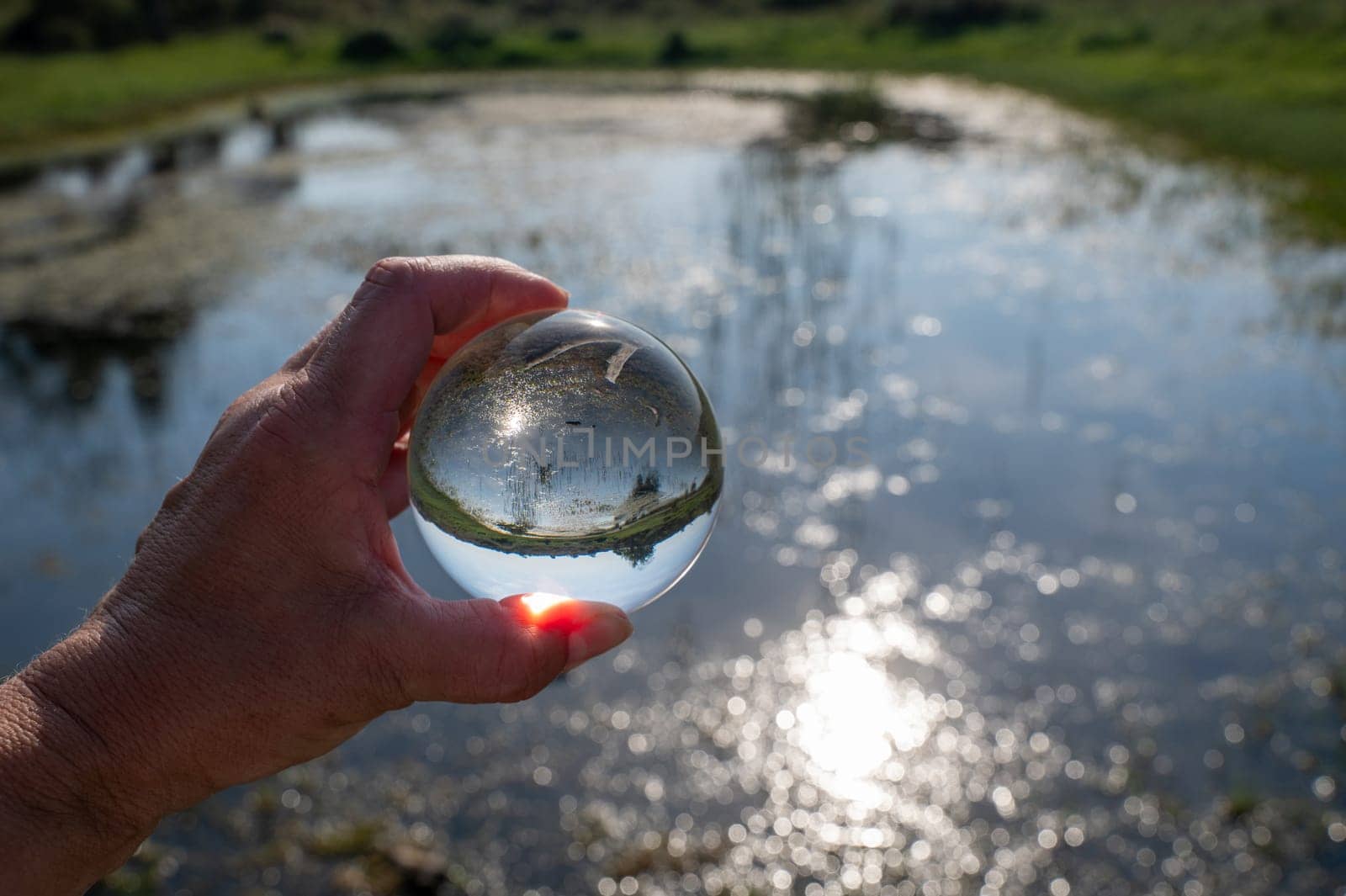 A human hand is holding a glass ball, in the ball a small lake in green nature is reflected, the light of the sun is reflected in the water