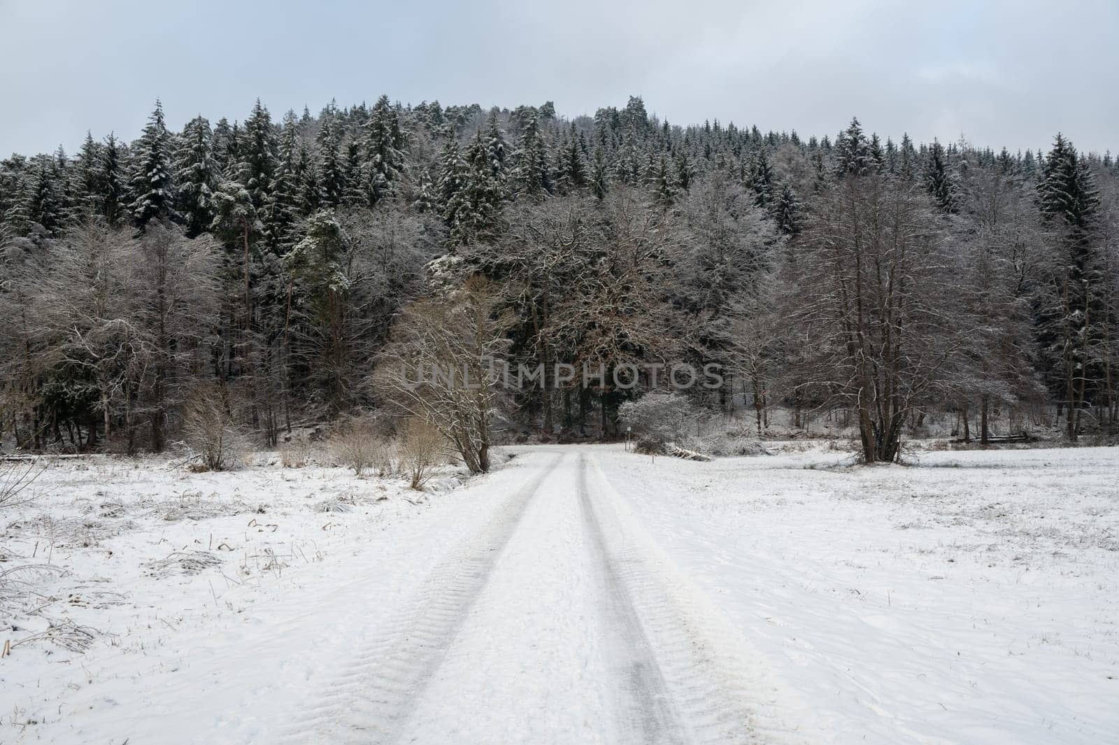 Field path  in a landscape with a lot of snow