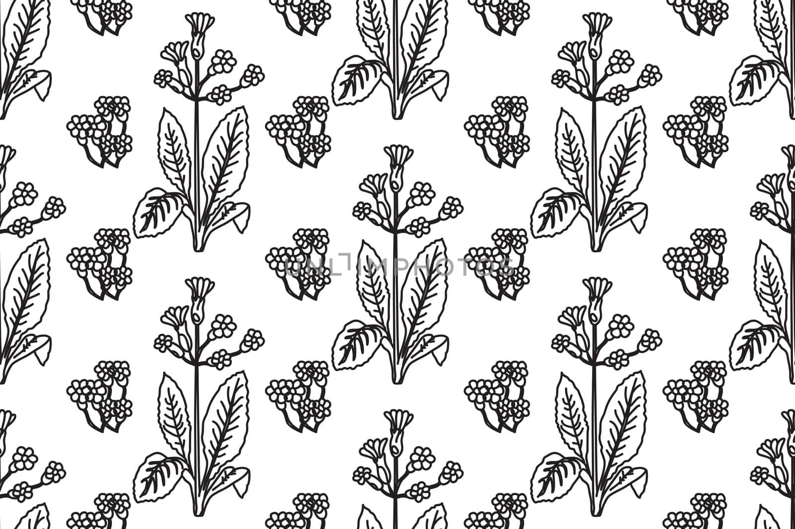Black and white floral line art seamless pattern.Botanical plants and flowers vector illustration abstract background.Graphic design for fashion textile cover wrapping wedding invitation greeting card