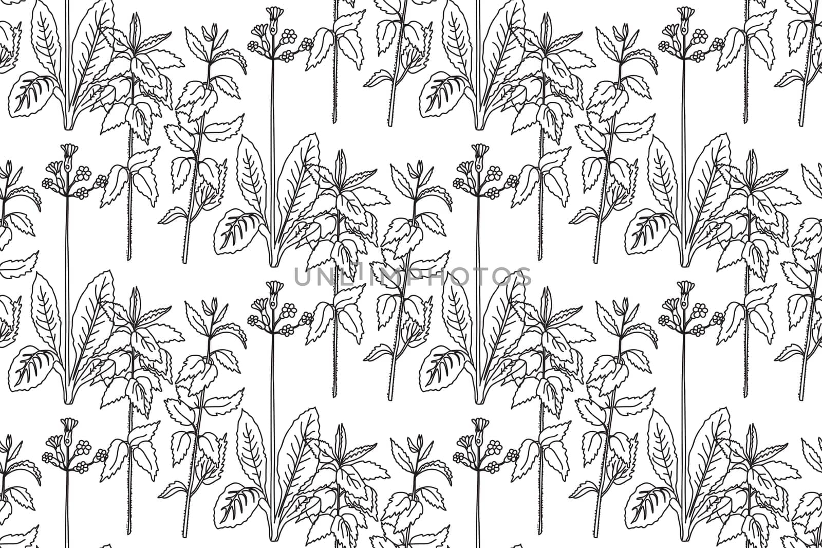 Black and white floral line art seamless pattern.Botanical plants and flowers vector illustration abstract background.Graphic design for fashion textile cover wrapping wedding invitation greeting card