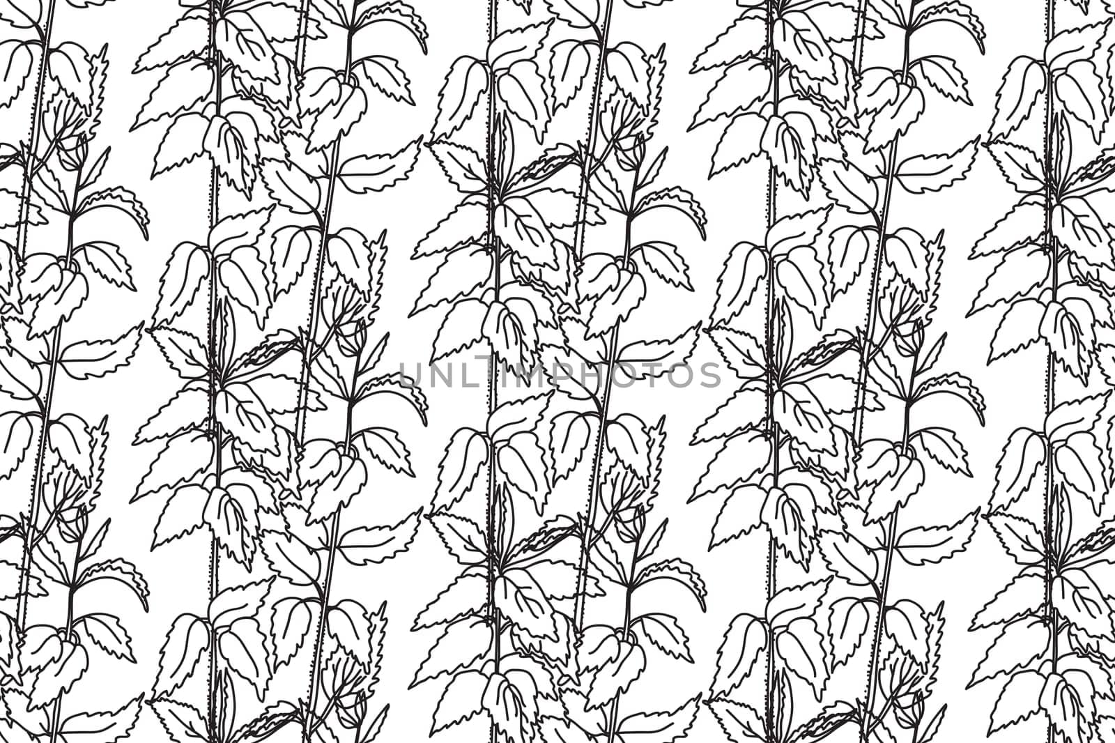 Black and white floral line art seamless pattern.Botanical plants and flowers vector illustration abstract background.Graphic design for fashion textile cover wrapping wedding invitation greeting card