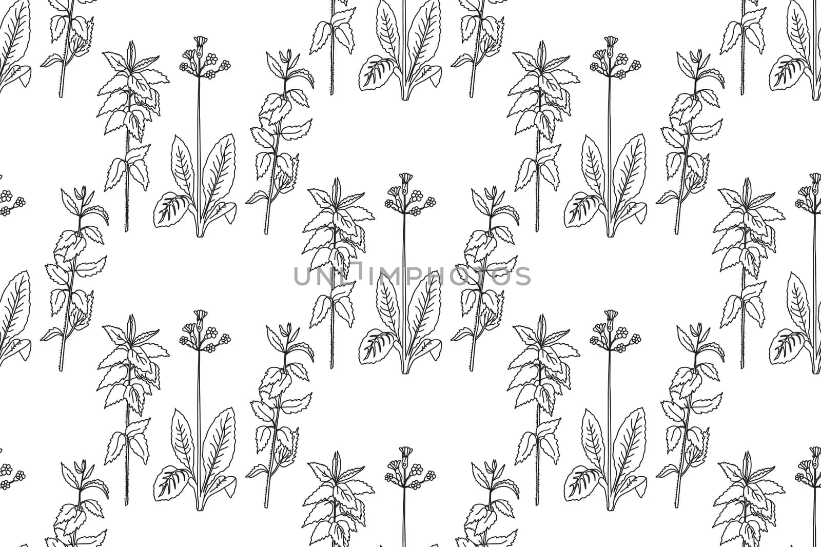 Black and white floral line art seamless pattern.Botanical plants and flowers vector illustration abstract background.Graphic design for fashion textile cover wrapping wedding invitation greeting card