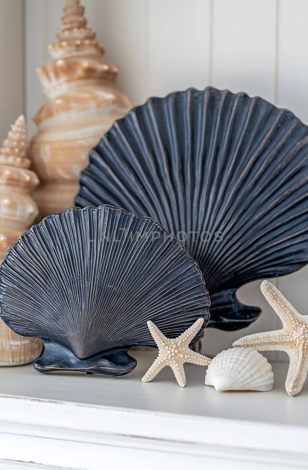 Stylish arrangement of seashells and starfish on a shelf, showcasing coastal decor inspired by ocean themes.