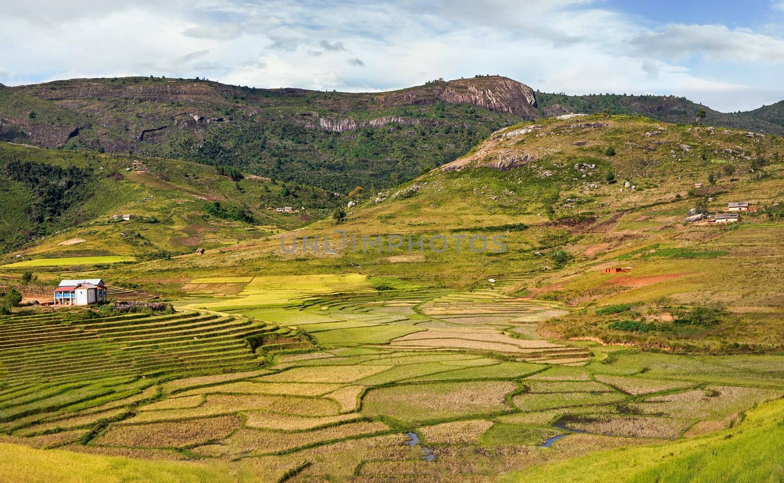 Typical Madagascar landscape - green and yellow rice terrace fields on small hills with clay houses in Andringitra region near Sendrisoa