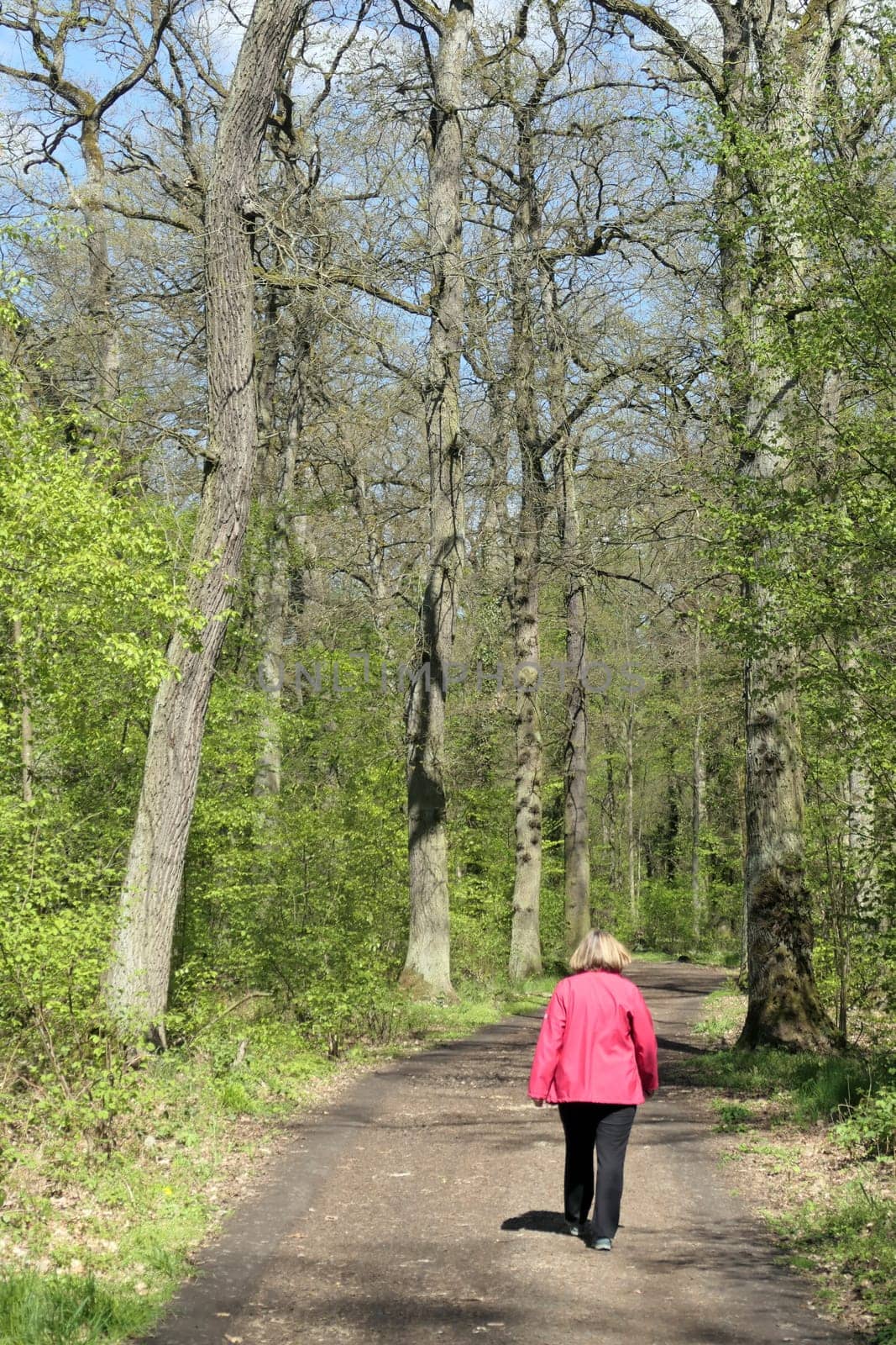 Frau auf Waldweg