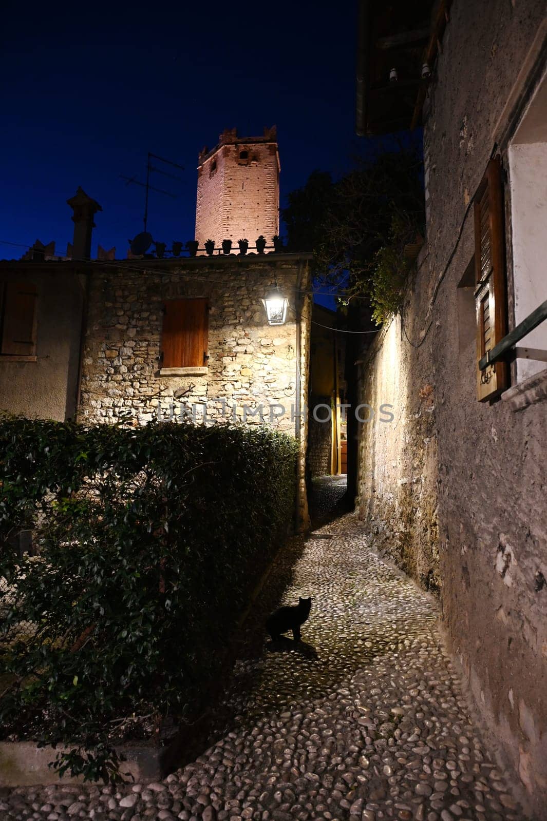 Abend an der Burg in Malcesine