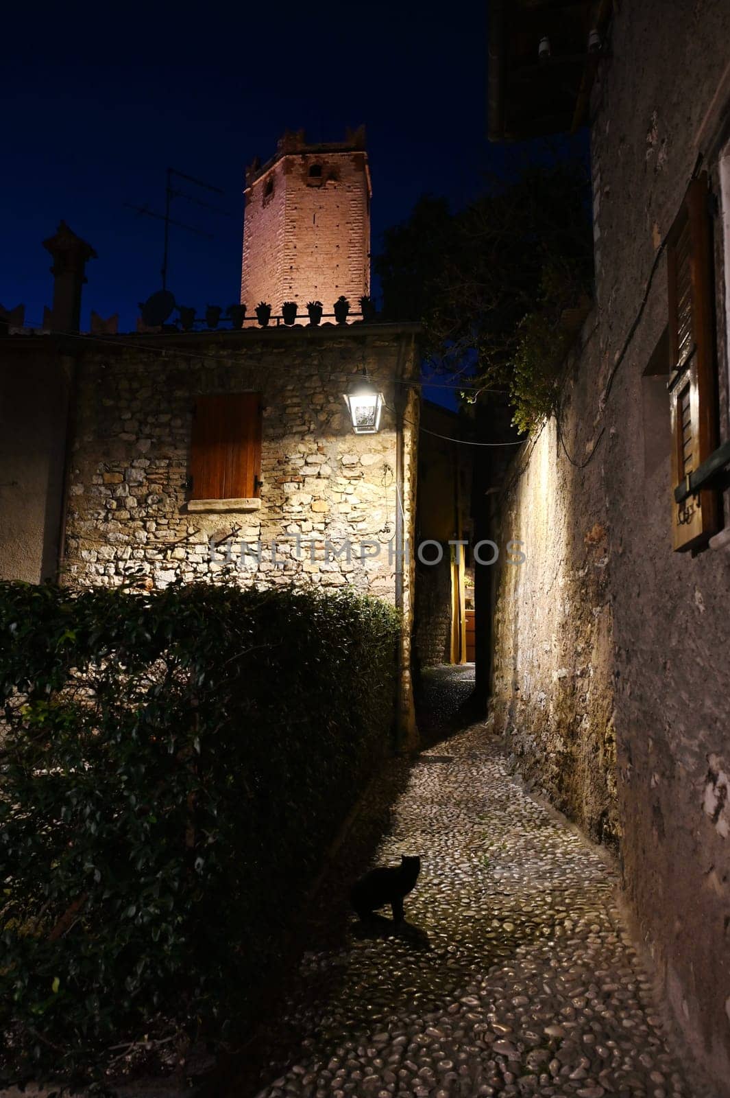 Abend an der Burg in Malcesine