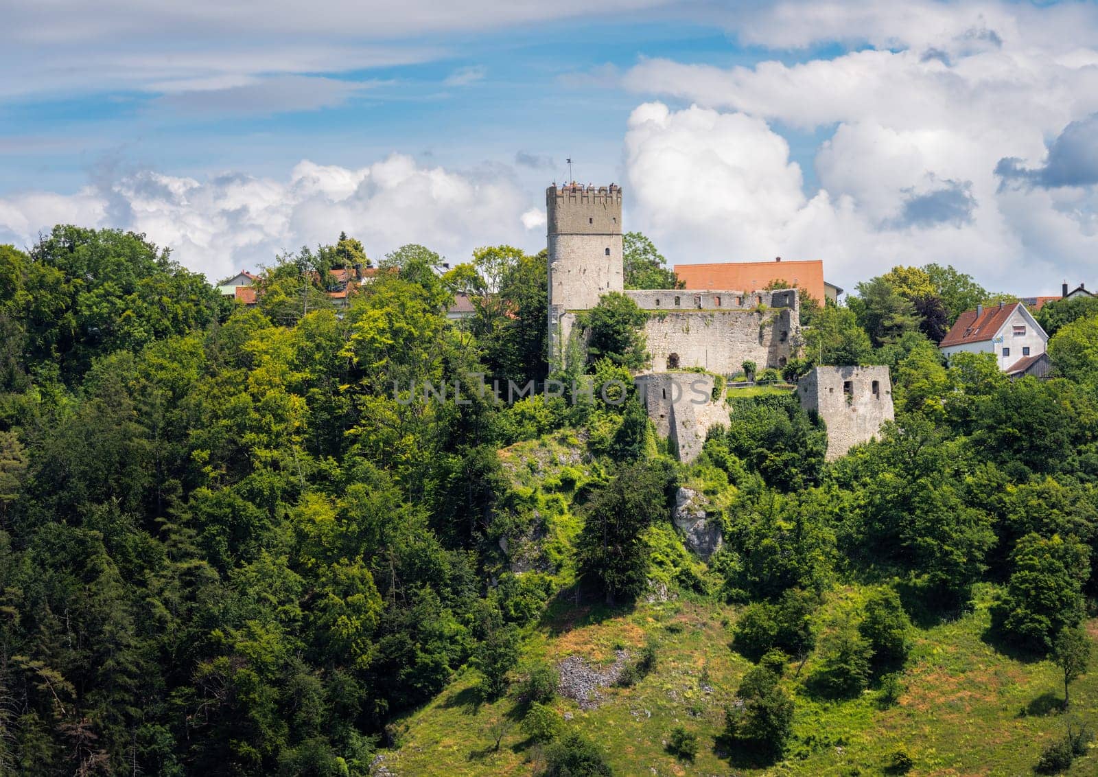ESSING, GERMANY - JUNE 16: Randeck castle ruin in the Altmuehltal valle in, Essing, Germna on June 16, 2024