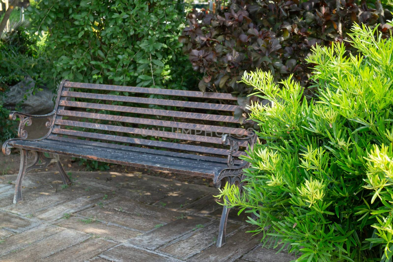 Single  empty public park bench, stock photo