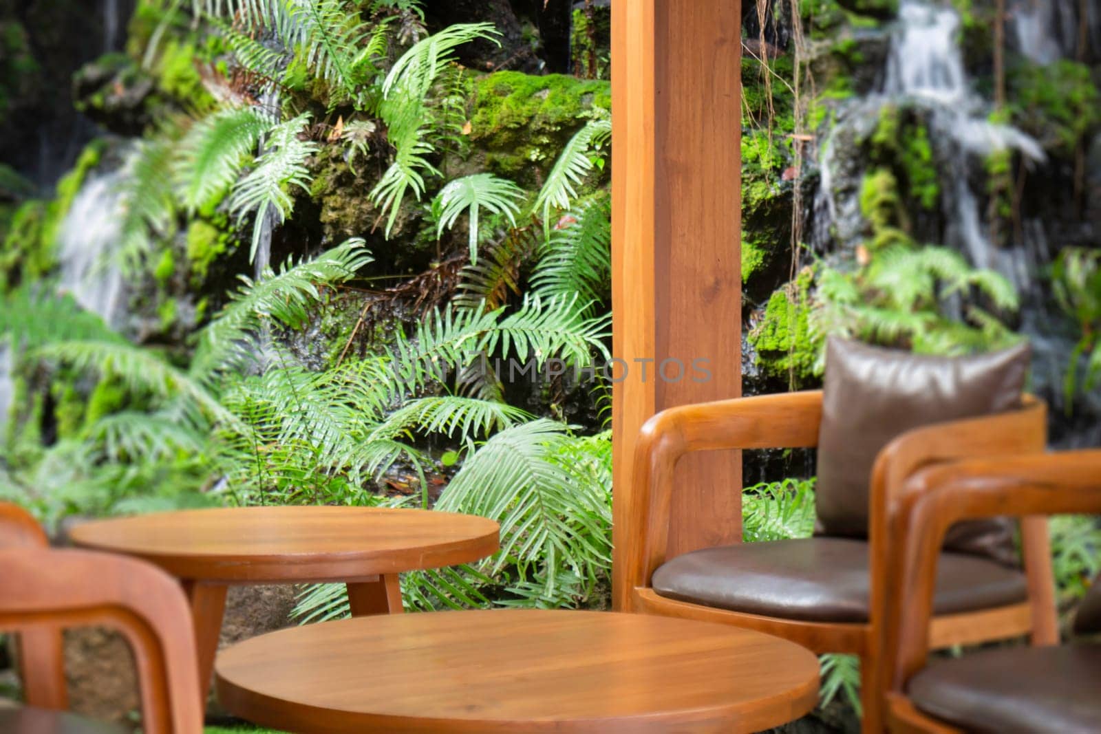 Beautiful tropical green plant and tree decorated in resort garden, stock photo