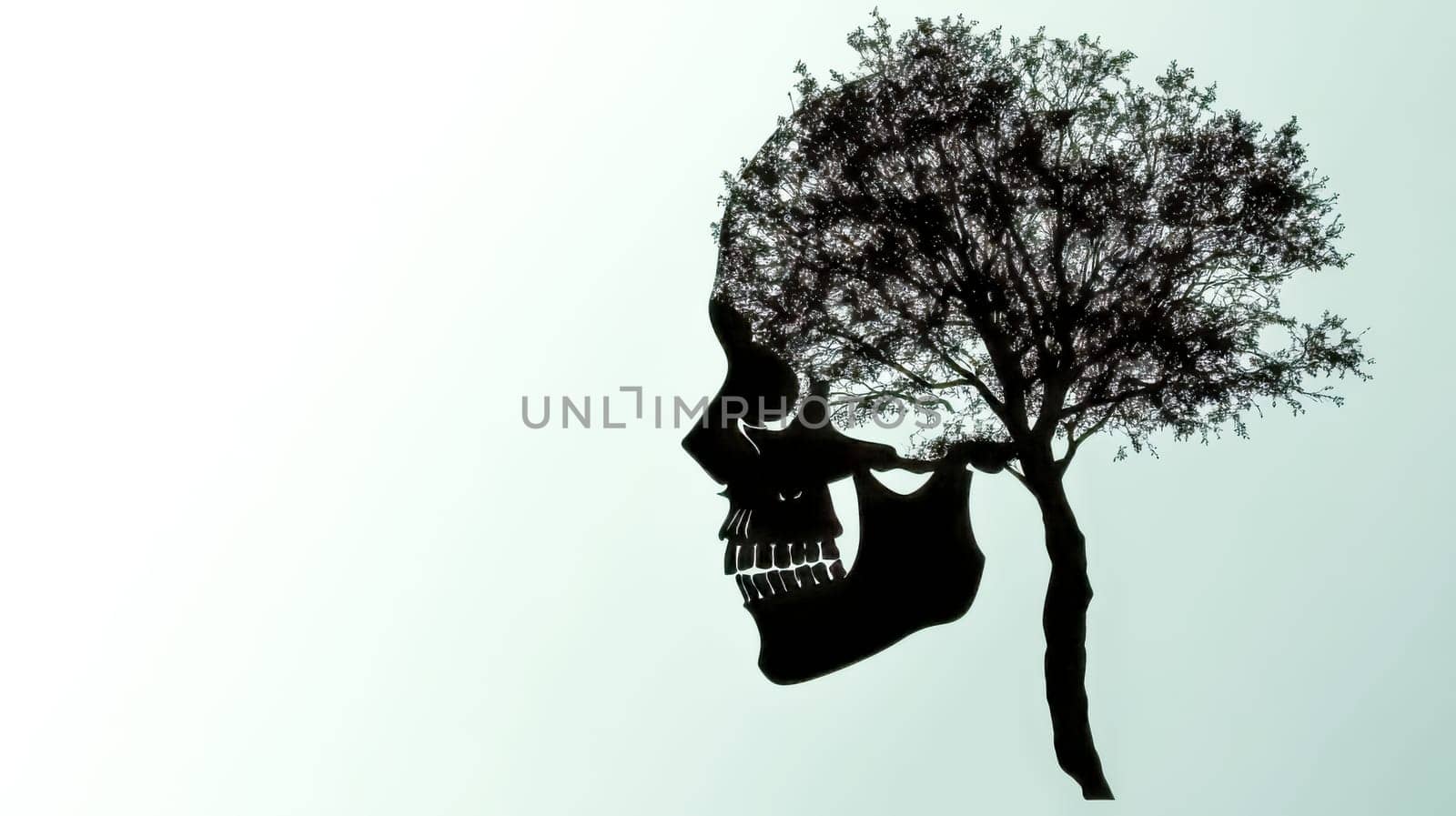 Conceptual illustration featuring a skull silhouette with a tree growing inside, symbolizing the cycle of life, death, and rebirth, with nature reclaiming what was once lost