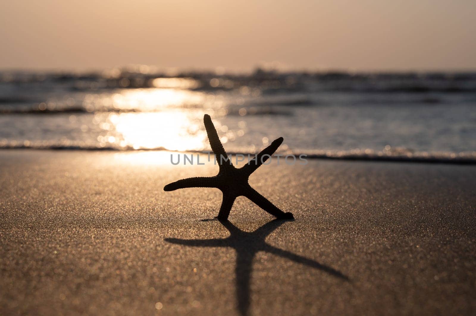 A starfish in the sand on a beach in front of the ocean waves at sunset