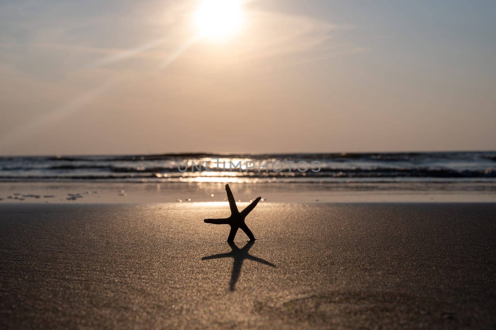 A starfish in the sand on a beach in front of the ocean waves at sunset