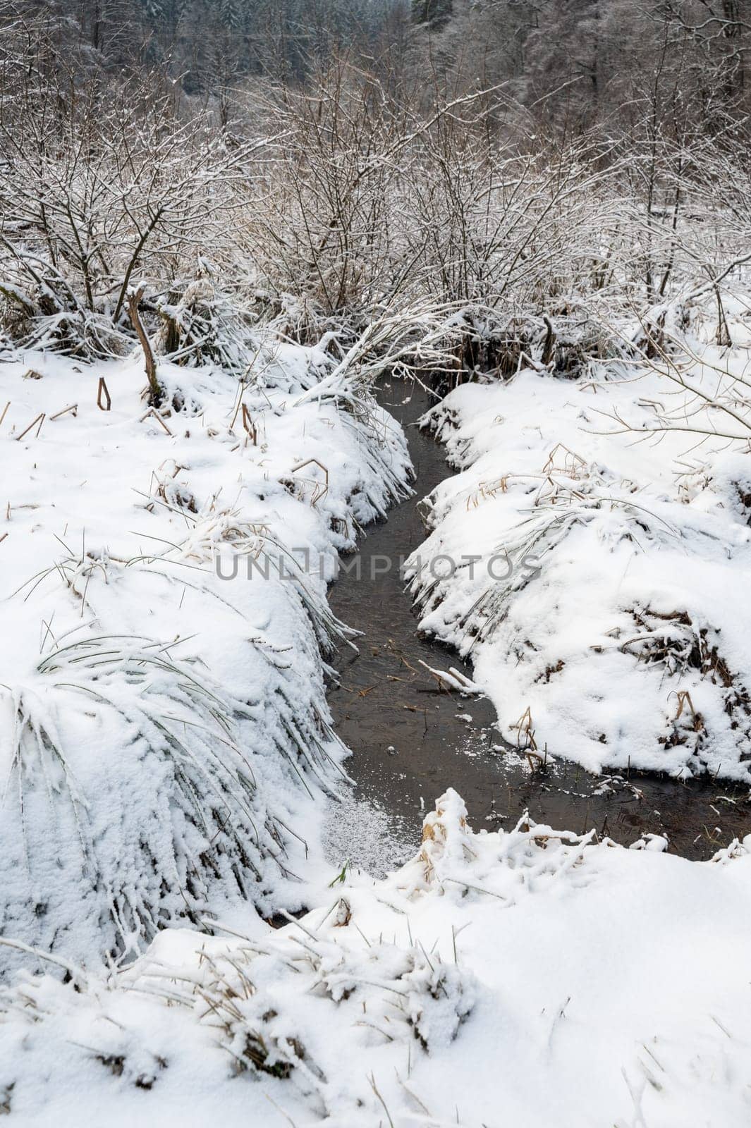 Small stream in the snow in wintertime