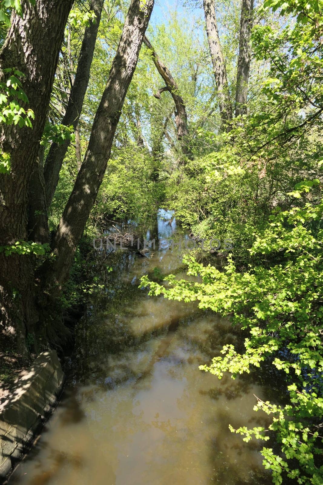 Rodau bei Muehlheim am Main