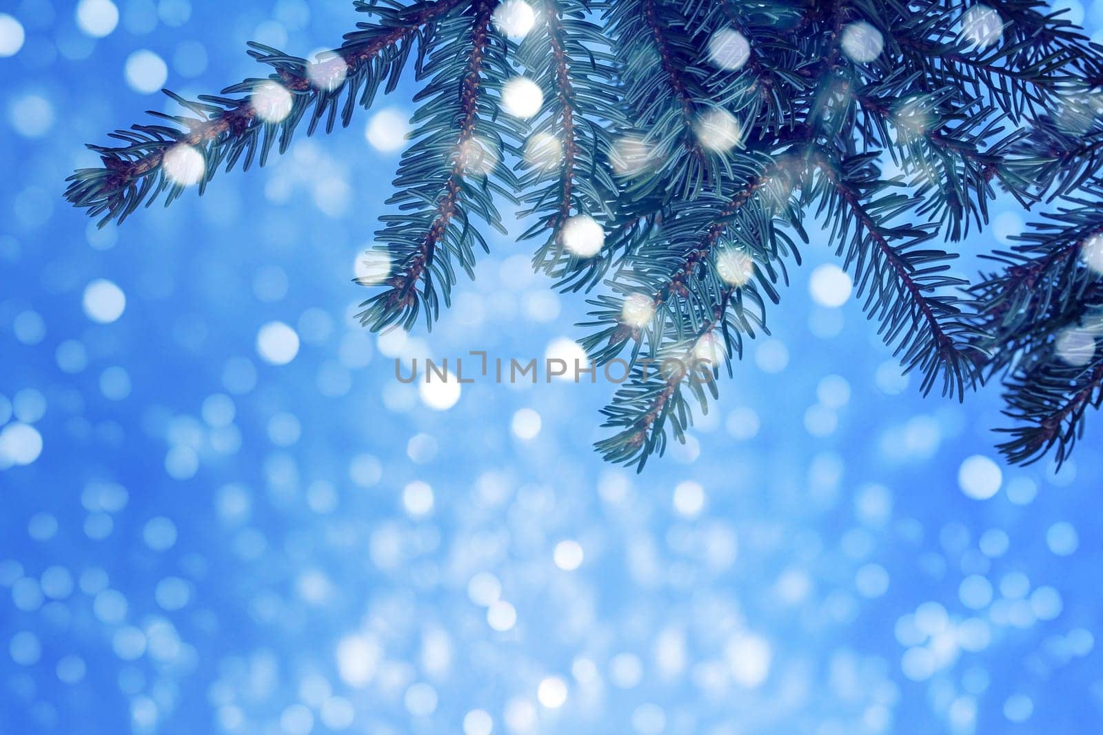 Christmassy blue background with fir branches and glittering snowflakes