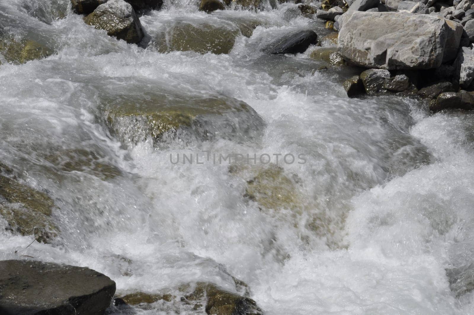 Mountain stream in the Alps