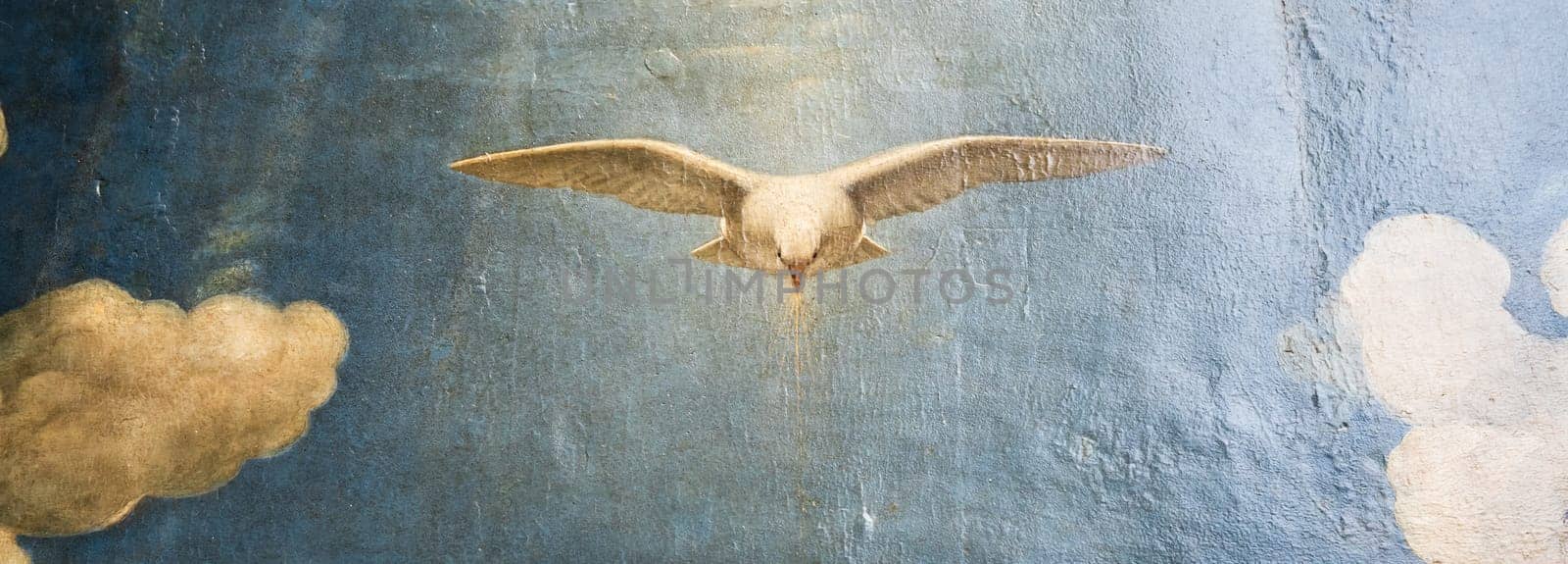 Dove of peace. Holy symbol of freedom, hope and purity
