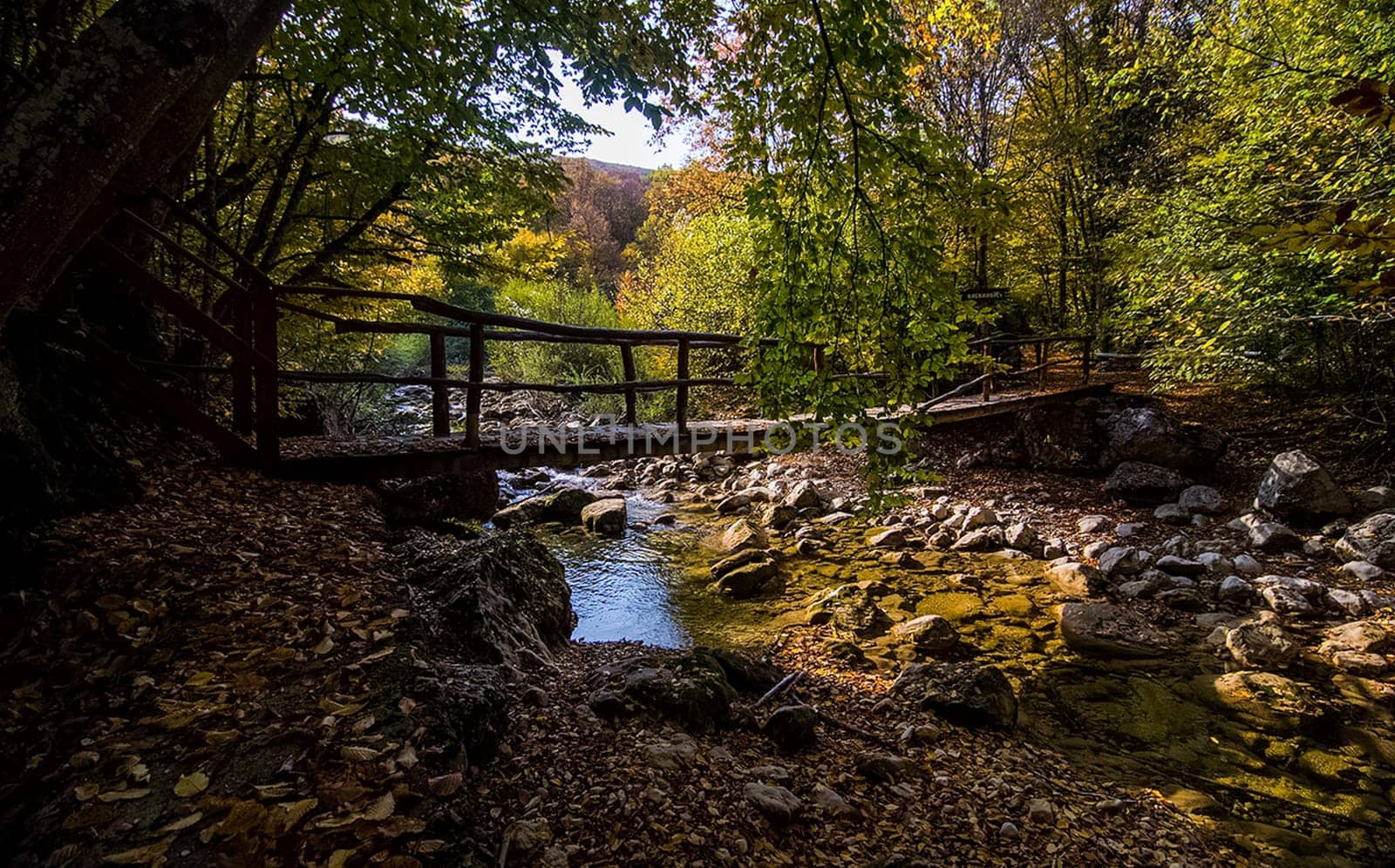 A bridge over a creek in the woods. A wooden bridge.