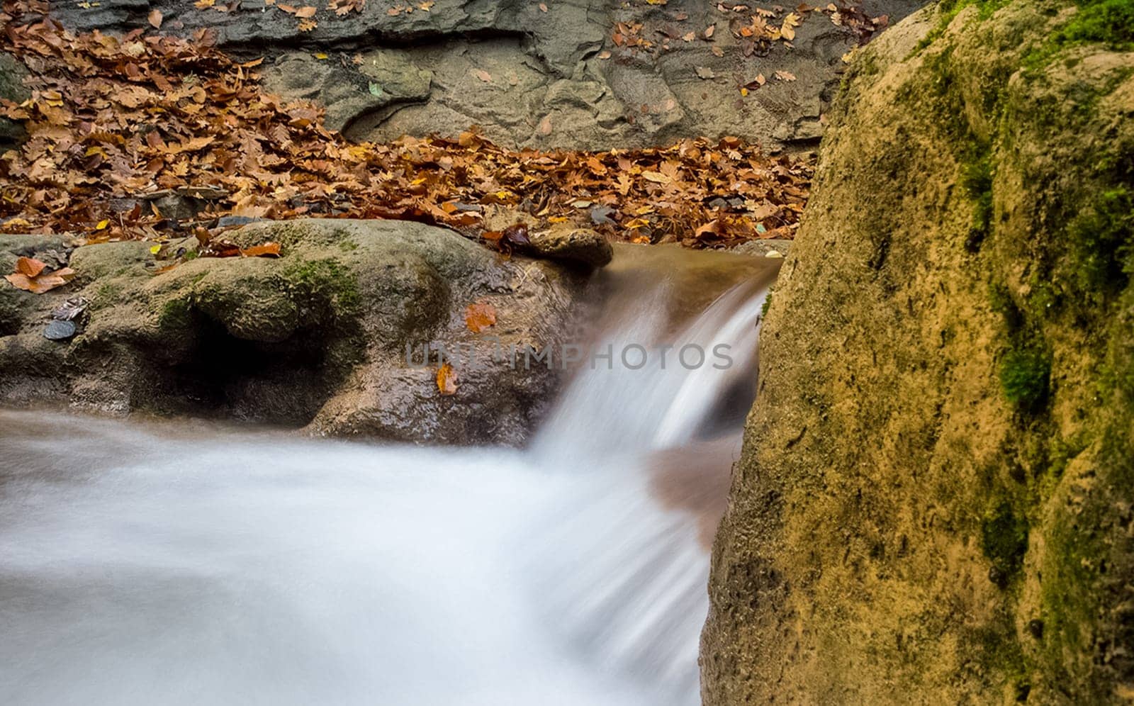 Mountain small river in the forest with rapids and waterfalls. A forest creek.