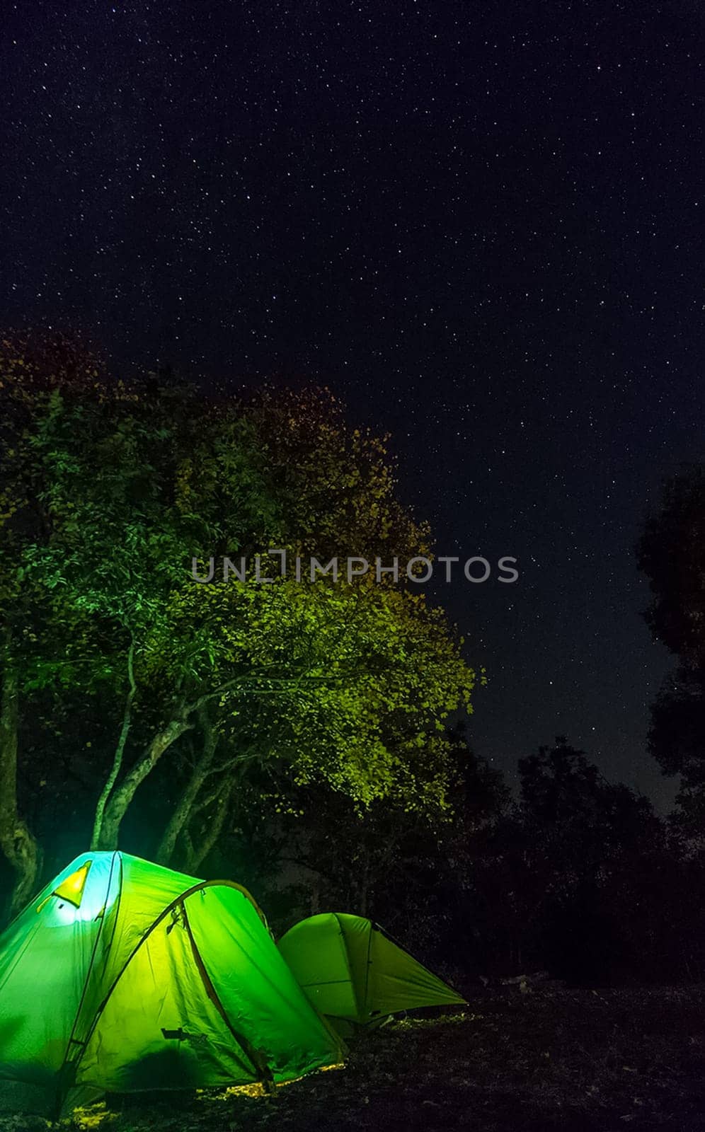 Tourist tents at night in the woods. The lights are on in the tents.