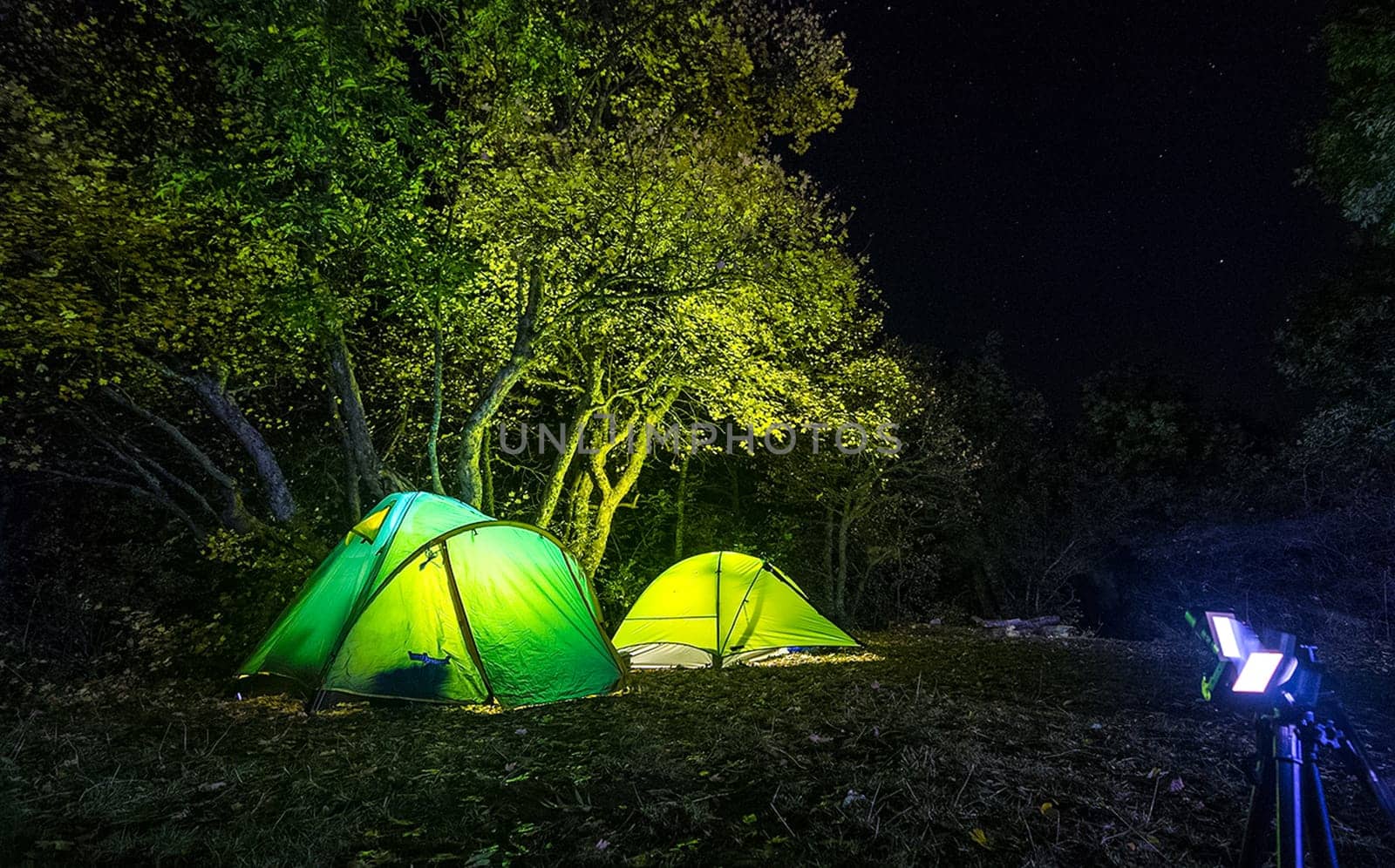 Tourist tents at night in the woods. The lights are on in the tents.