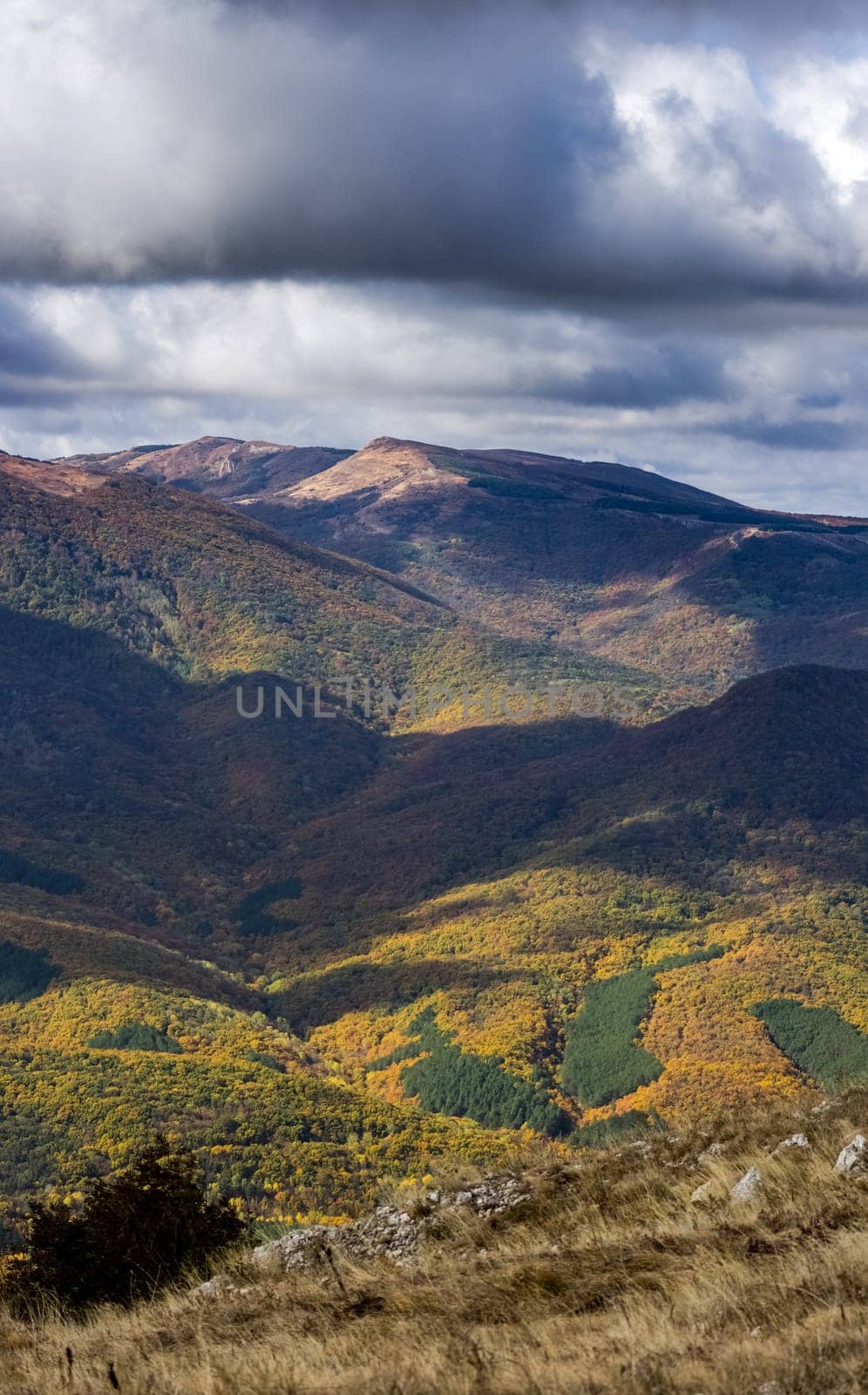 Mountains and forests of Crimea. coniferous and deciduous trees on the hills of the mountains and rocks