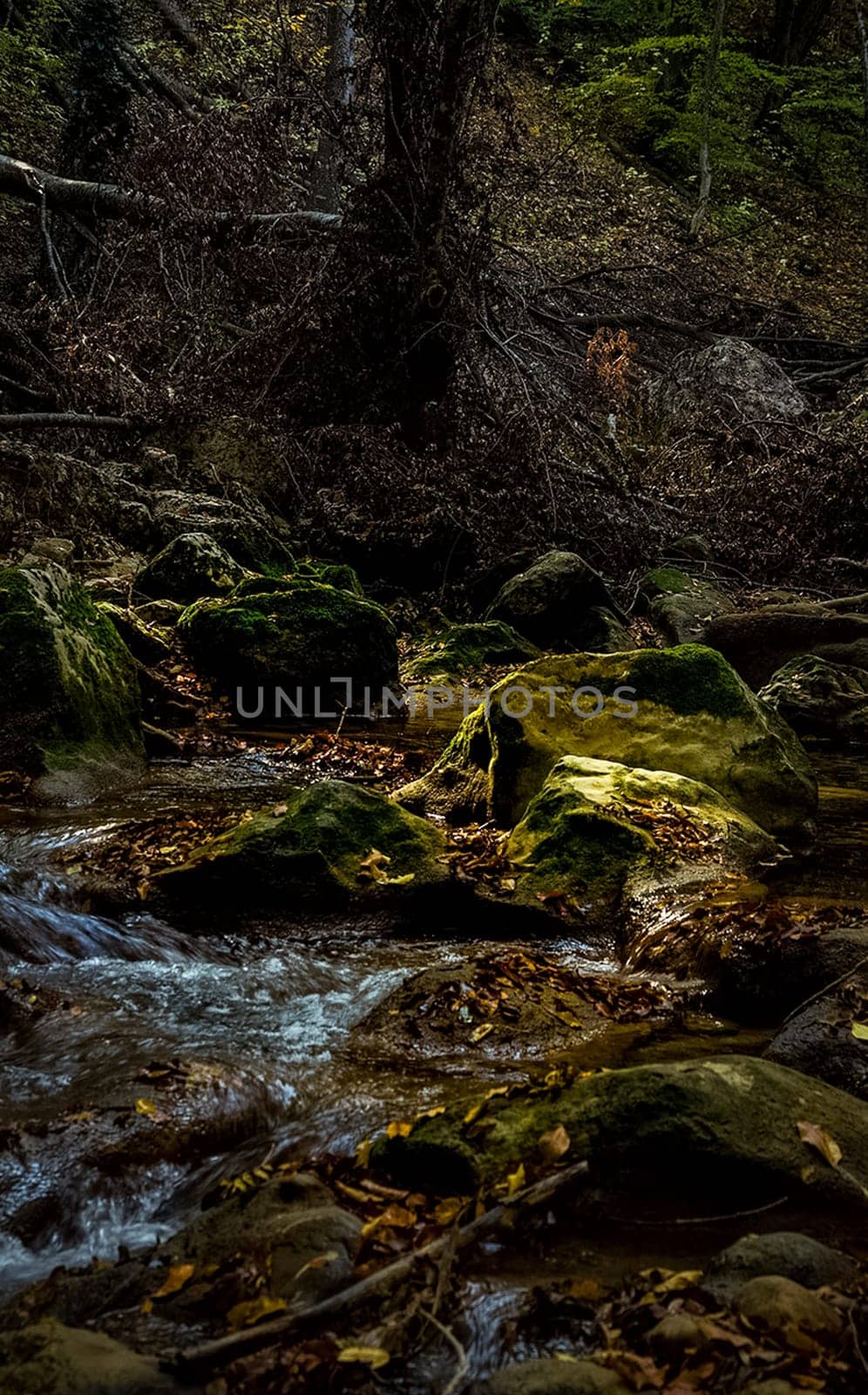 Mountain small river in the forest with rapids and waterfalls. A forest creek.
