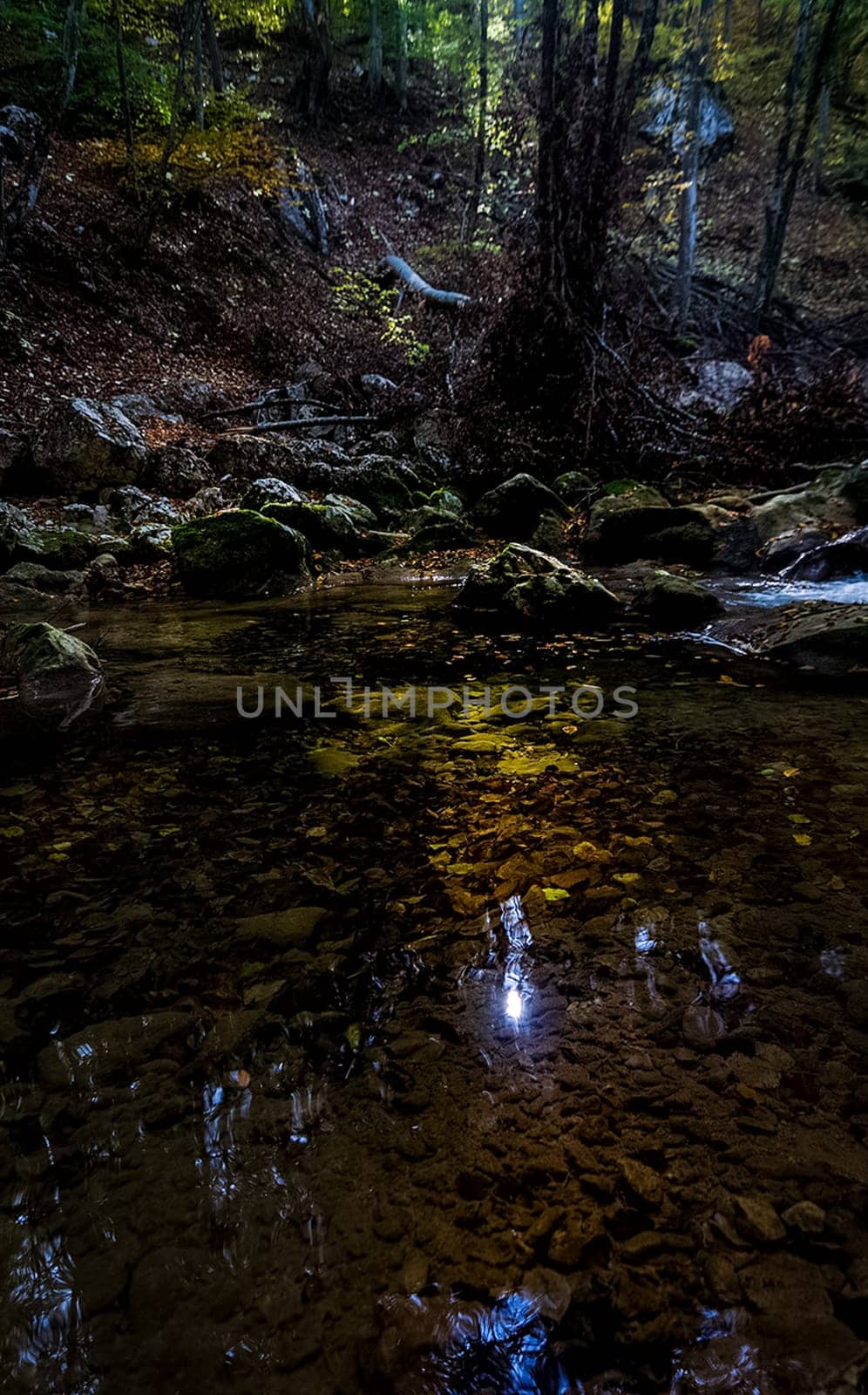 Mountain small river in the forest with rapids and waterfalls. A forest creek.