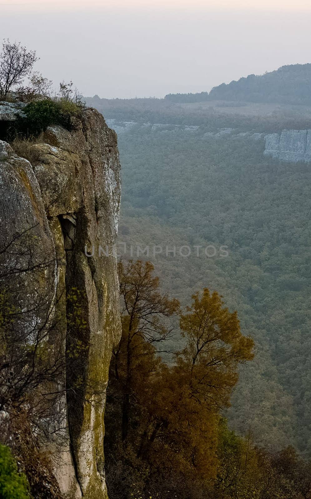 Mountains and forests of Crimea. coniferous and deciduous trees on the hills of the mountains and rocks