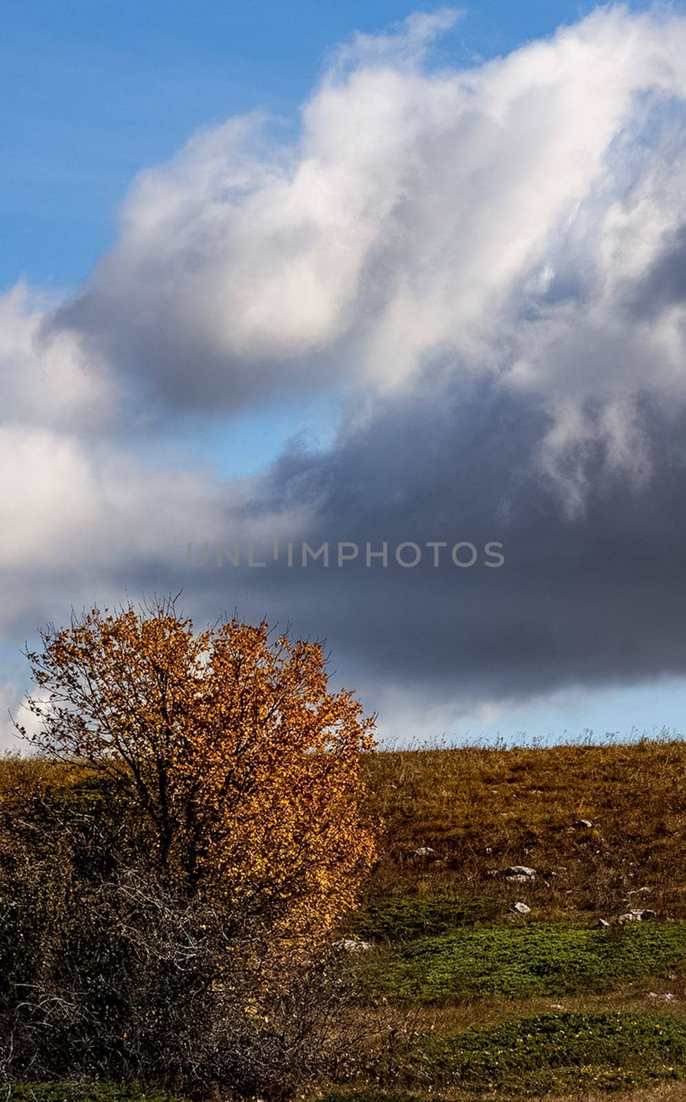 beautiful landscape of Crimea, nature of Crimea.