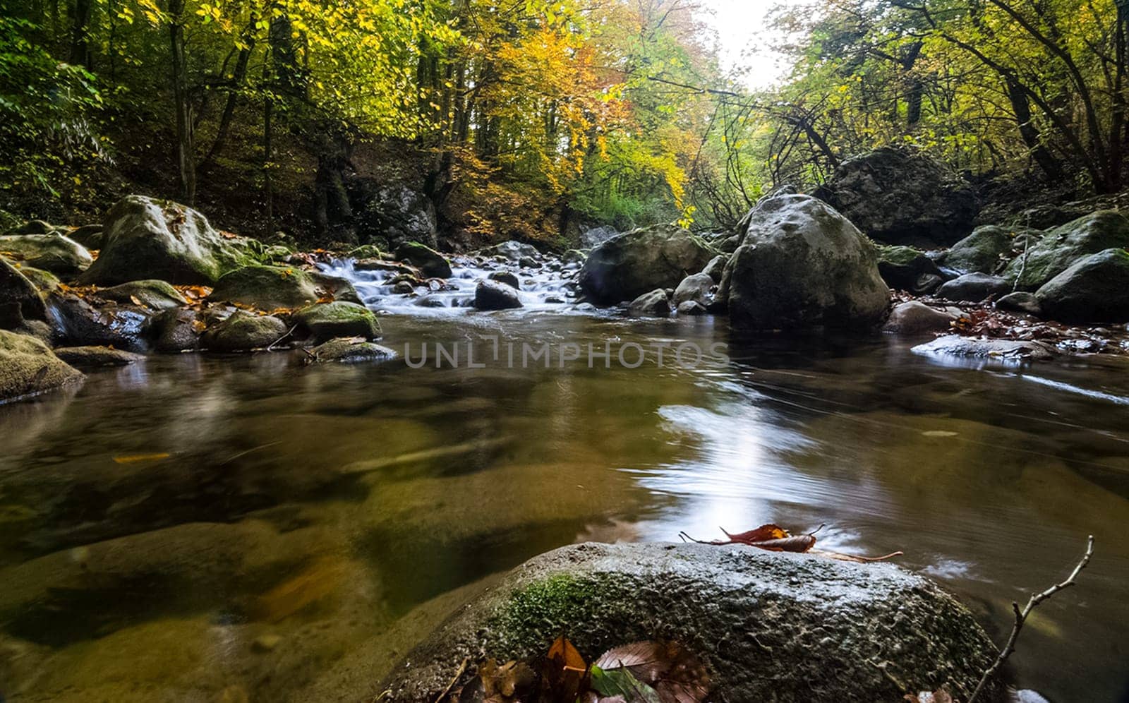 Mountain small river in the forest with rapids and waterfalls. A forest creek.