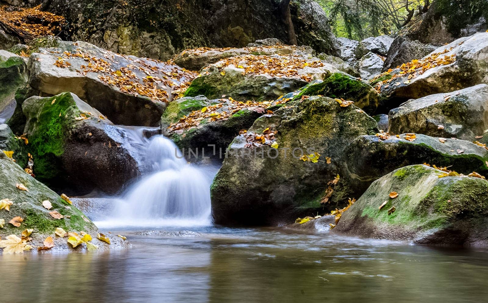 Mountain small river in the forest with rapids and waterfalls. A forest creek.