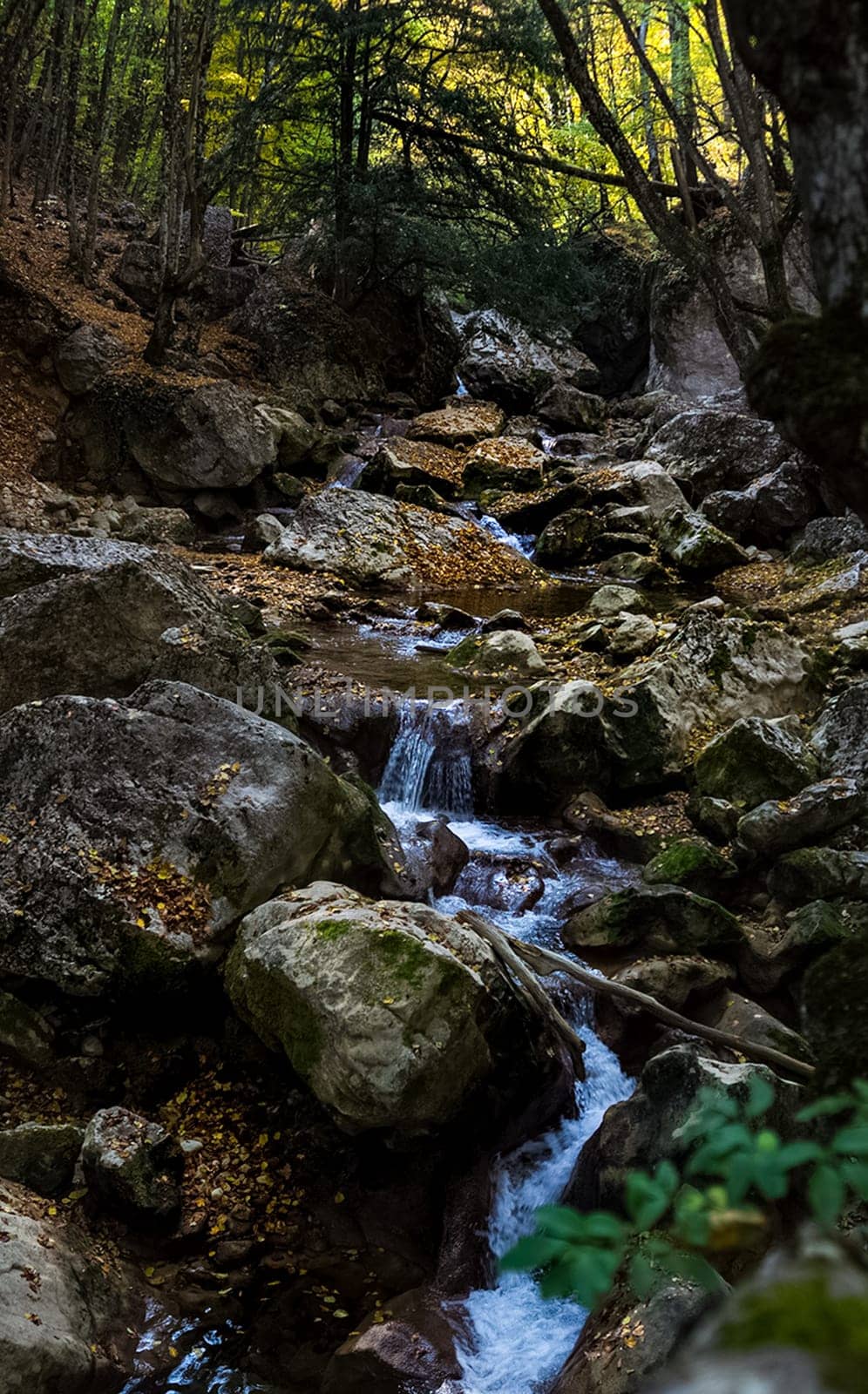 Mountain small river in the forest with rapids and waterfalls. A forest creek.