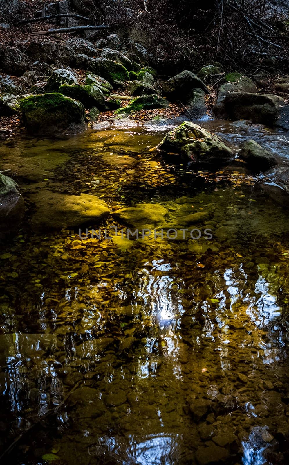 Mountain small river in the forest with rapids and waterfalls. A forest creek.