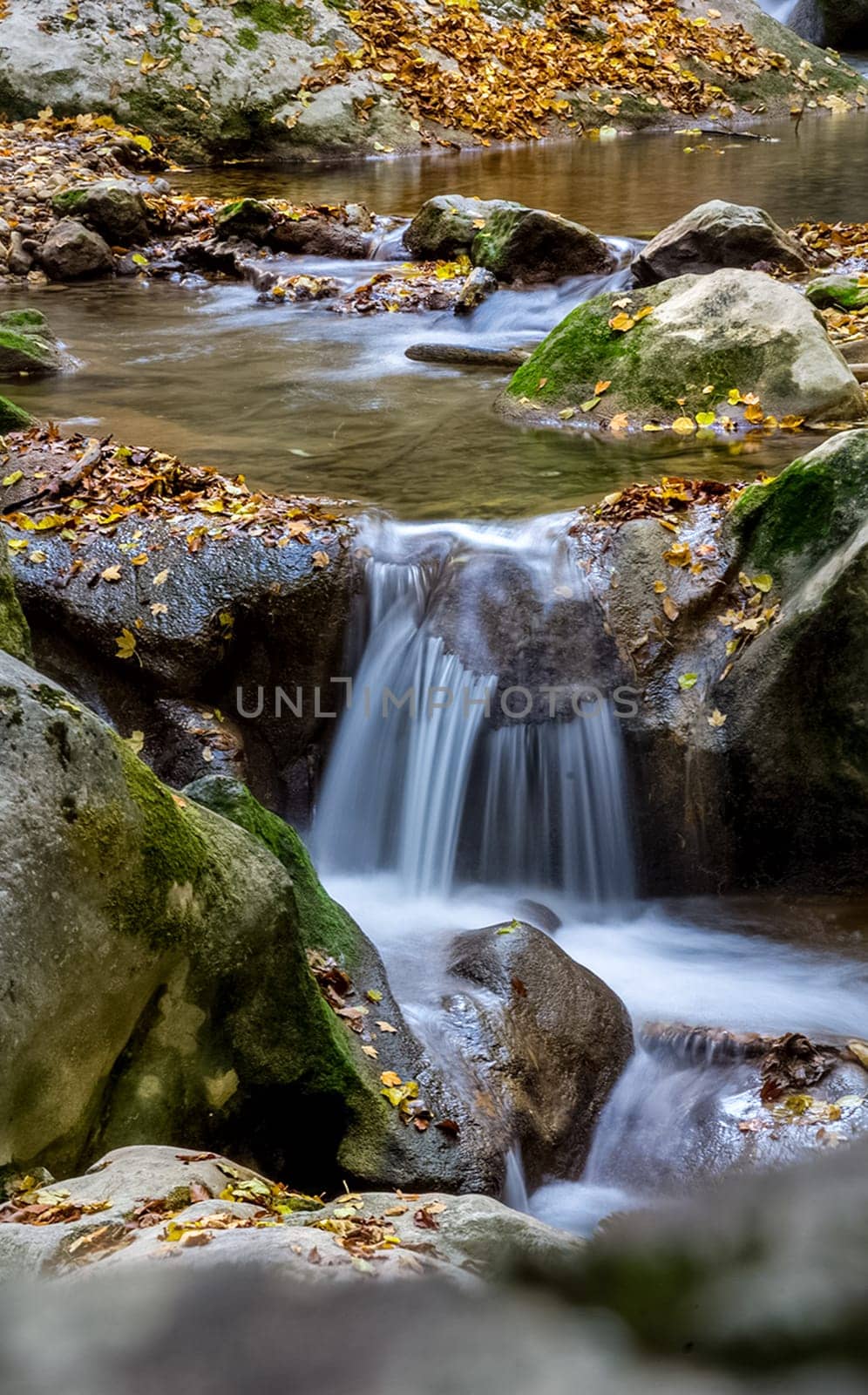 Mountain small river in the forest with rapids and waterfalls. A forest creek.